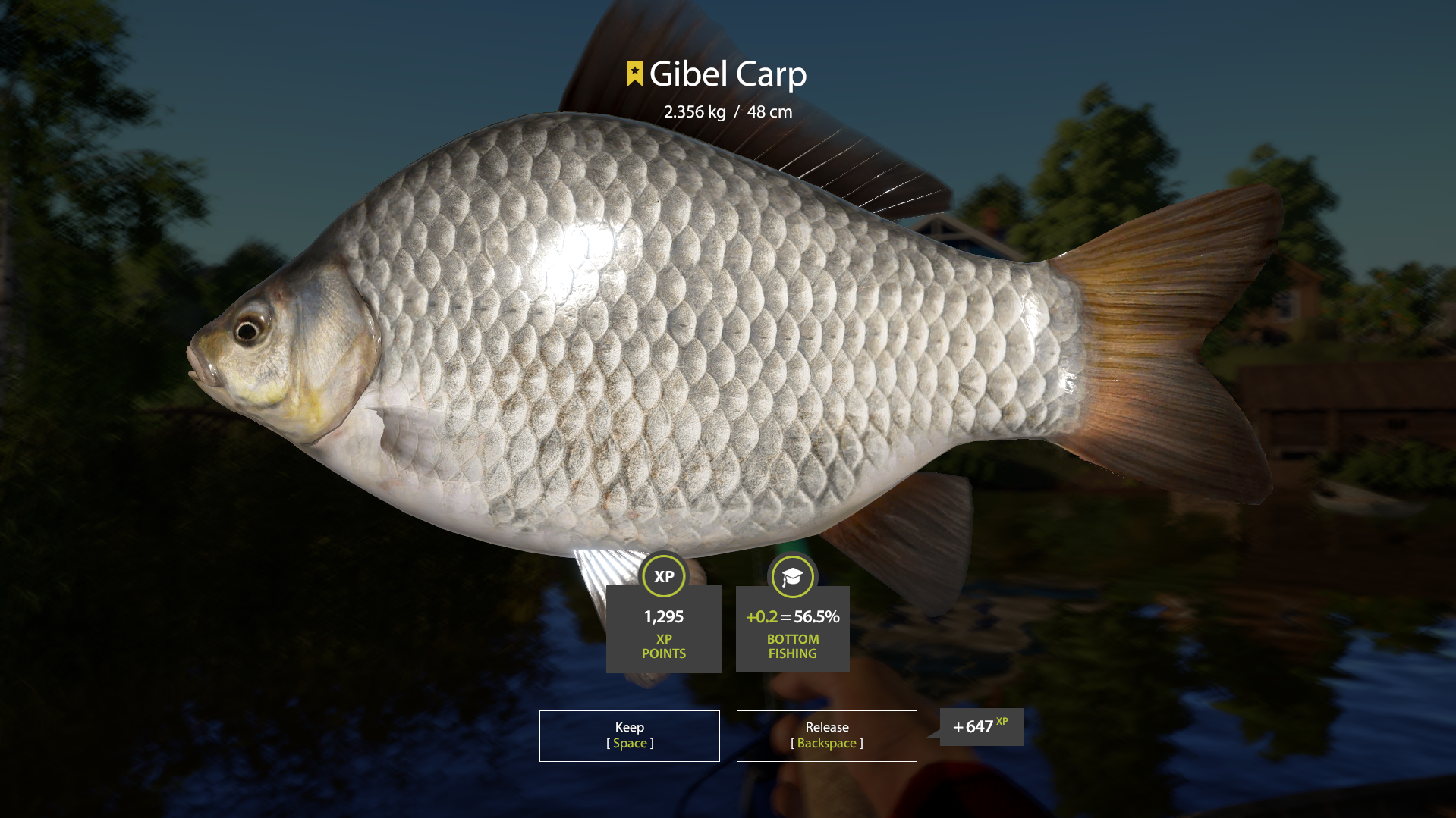 Crucian Carp | Other Countries | Bottom Fishing