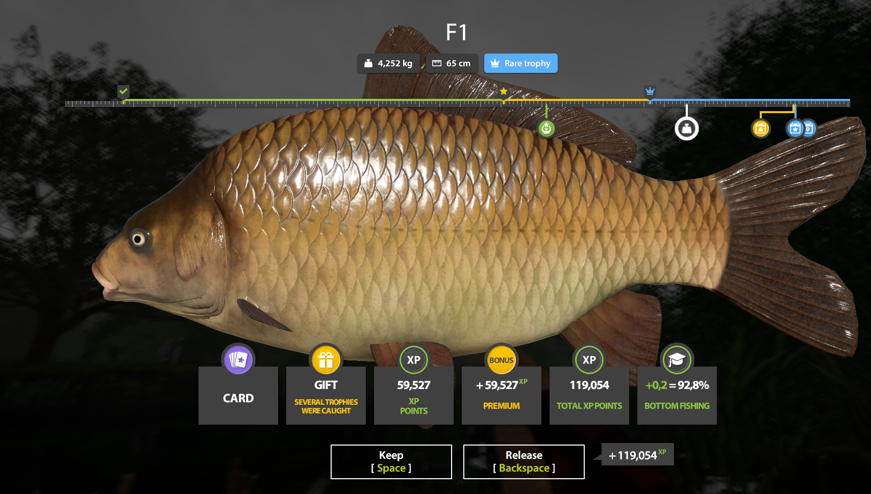 F1 | China | Bottom Fishing