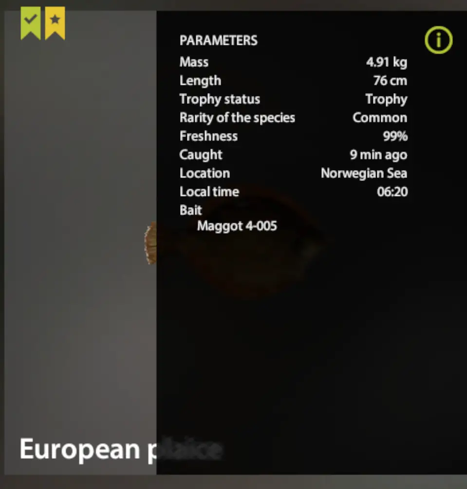 European plaice | Korea | Marine Fishing