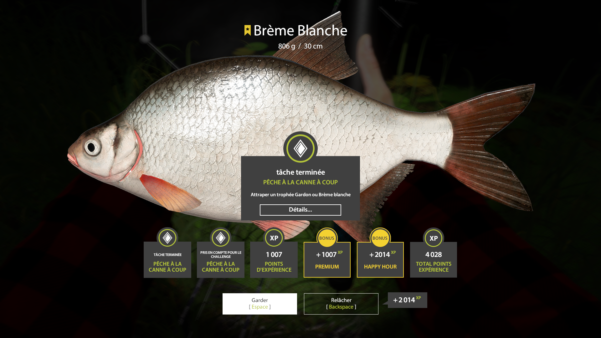 Bream | France | Float Fishing