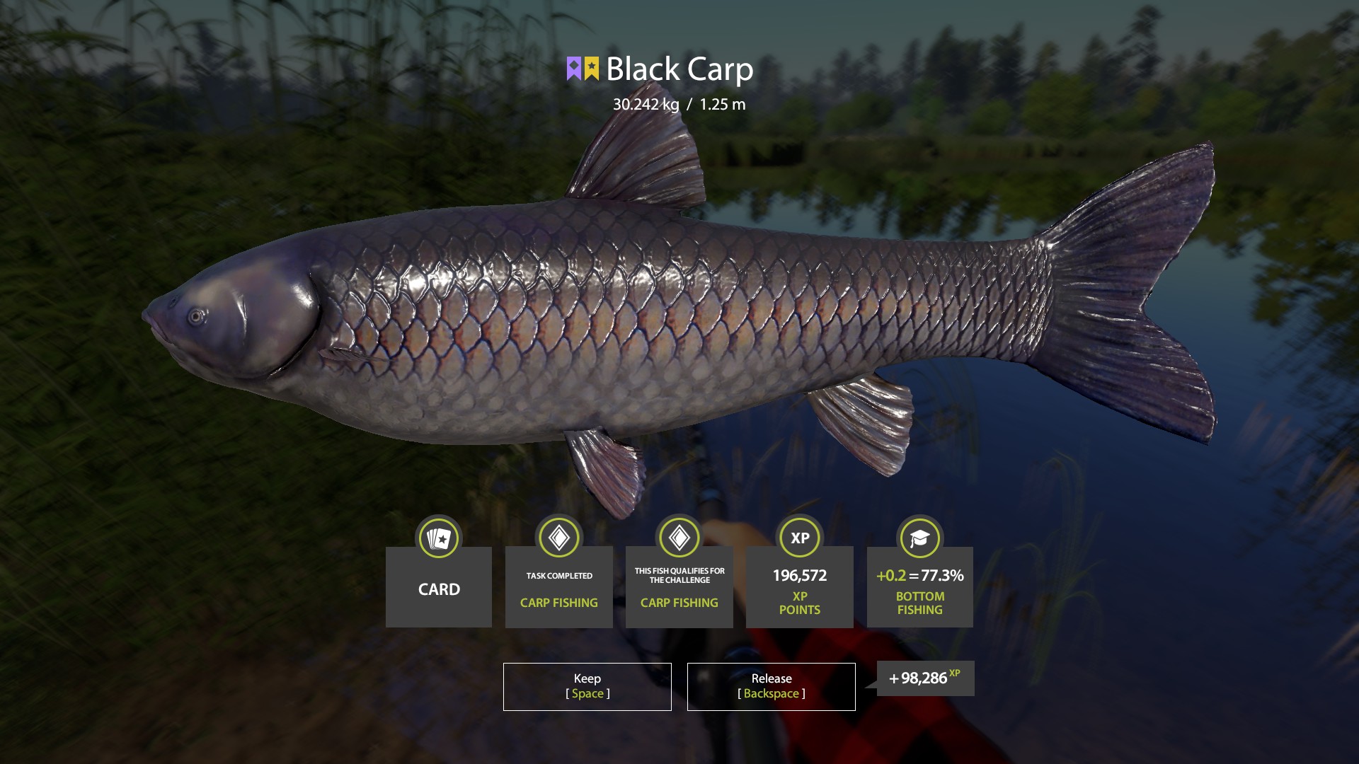 Trophy Bear Lake