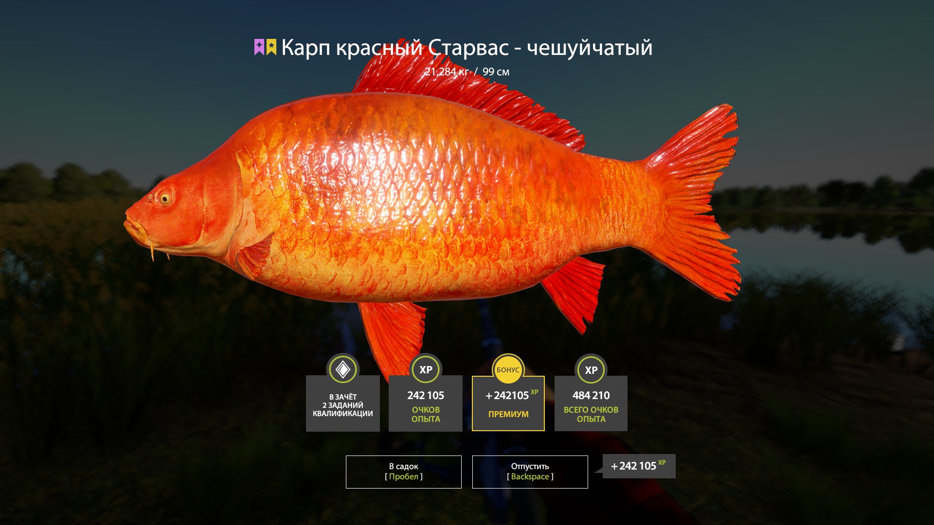 Red Starvas Carp - Scaly | Russia and CIS countries | Bottom Fishing