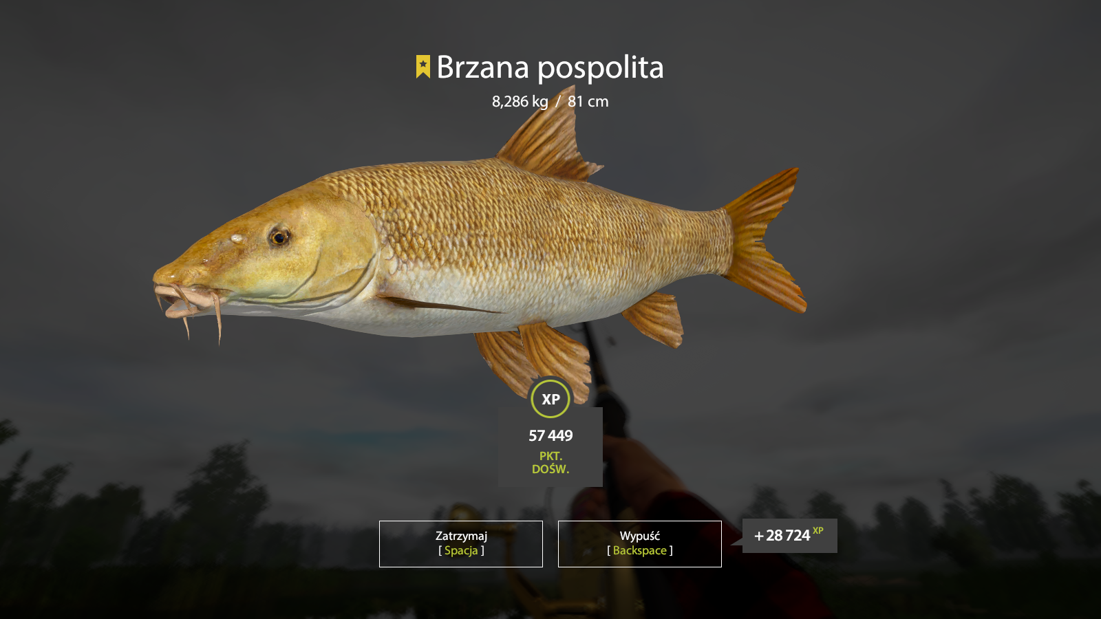 Common Barbel | Poland | Bottom Fishing