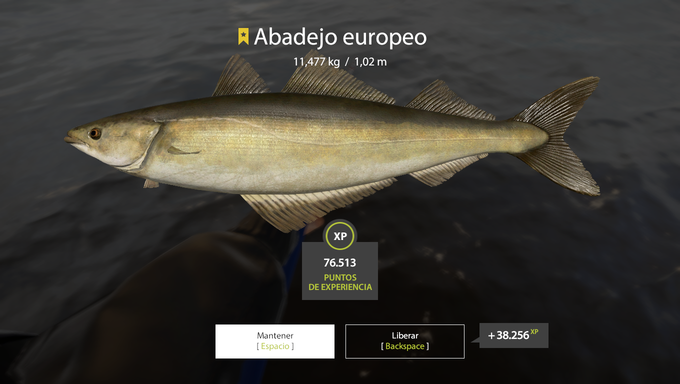 Pollock | Other Countries | Marine Fishing