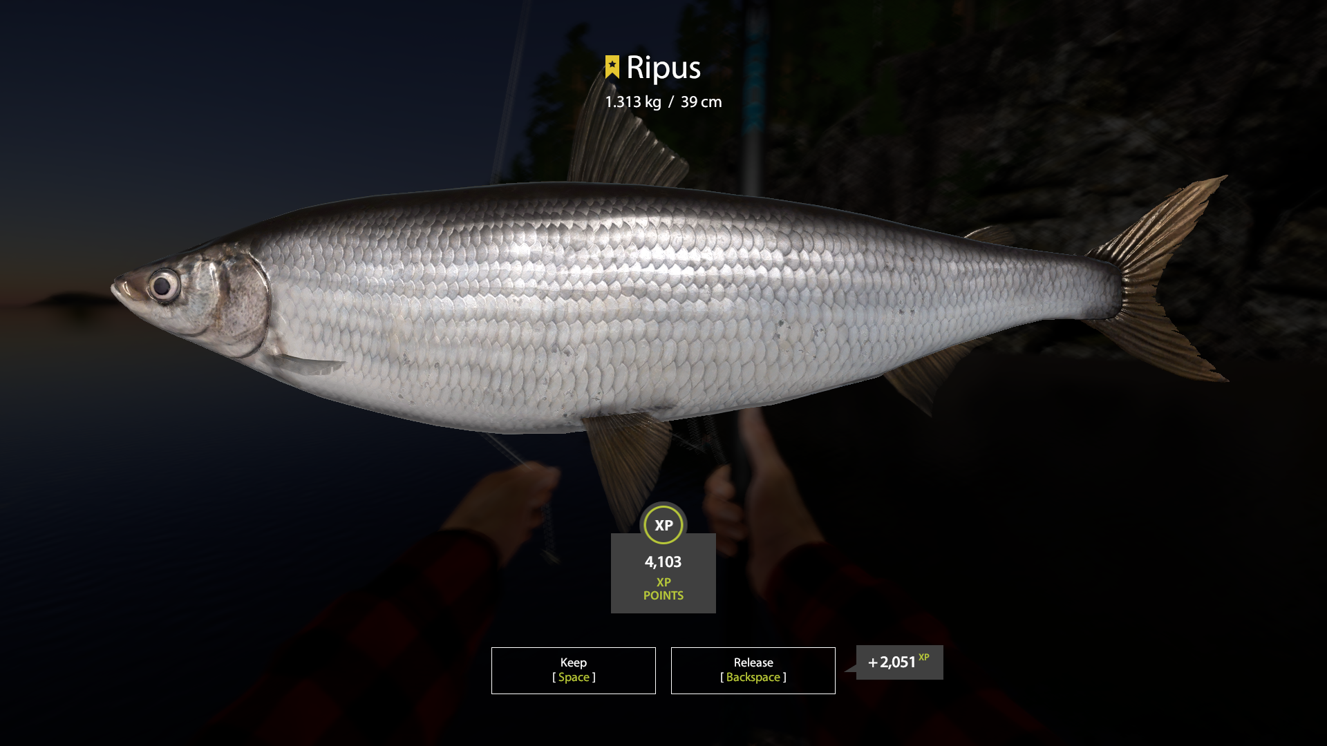 Trophy Ladoga Lake