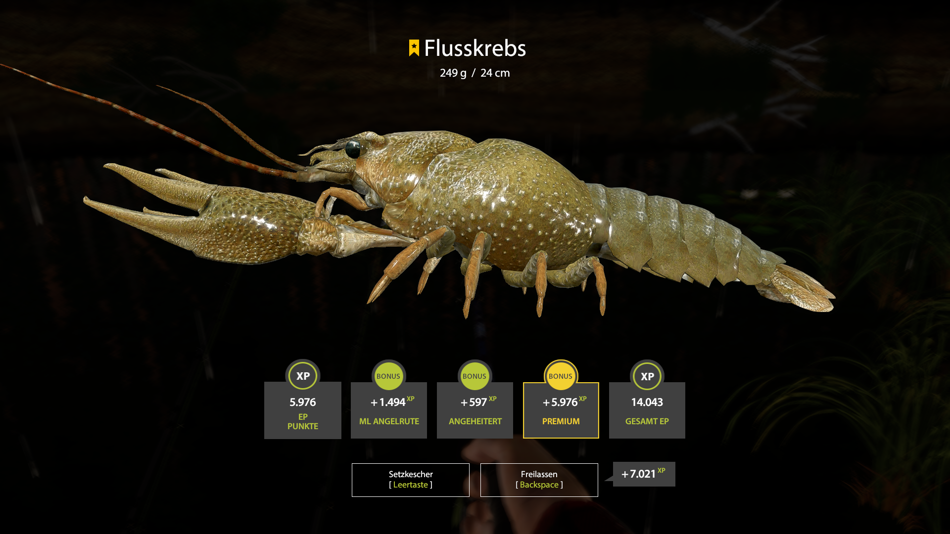 Trophy Winding Rivulet