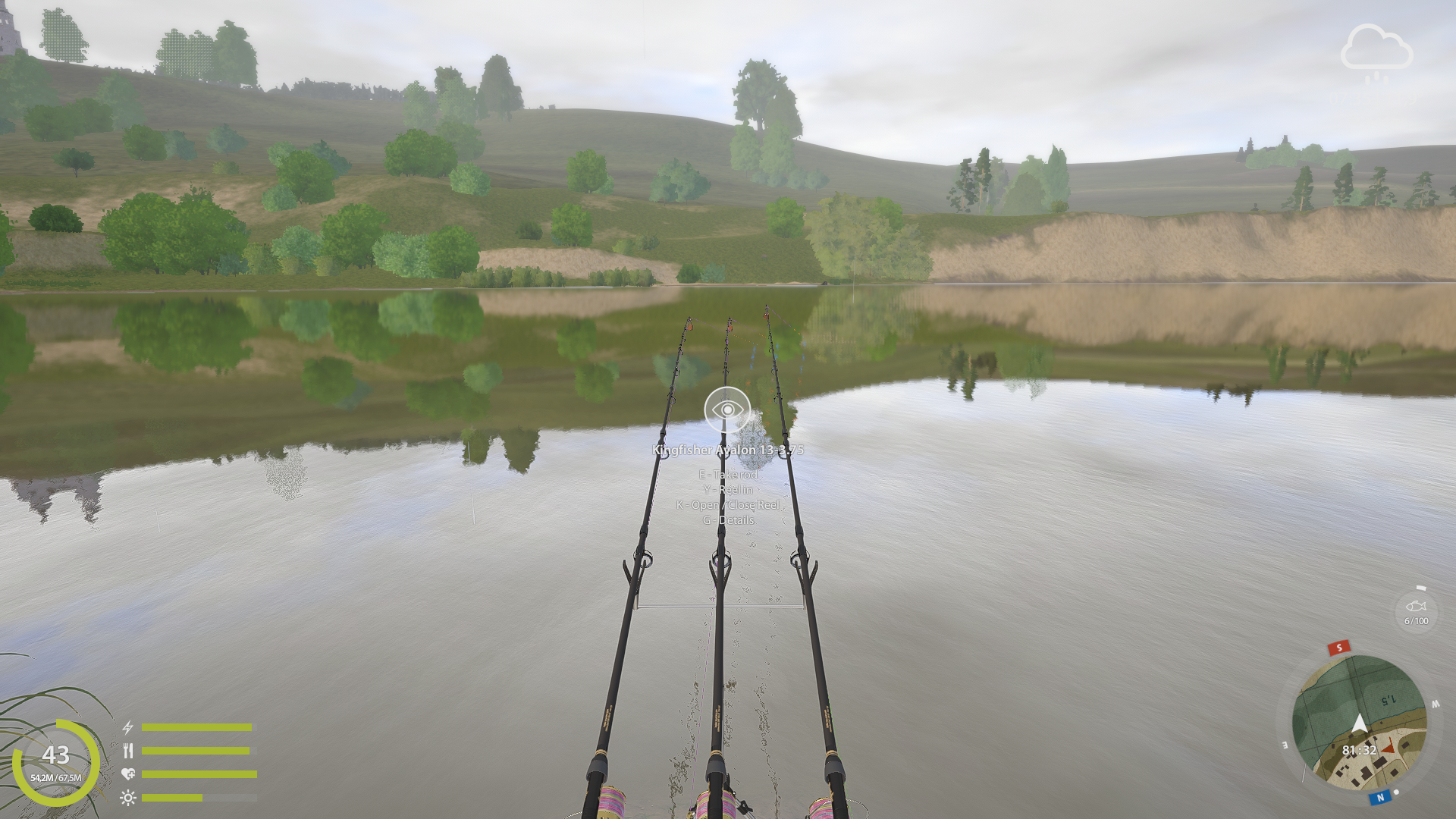 Silver Carp | Other Countries | Bottom Fishing