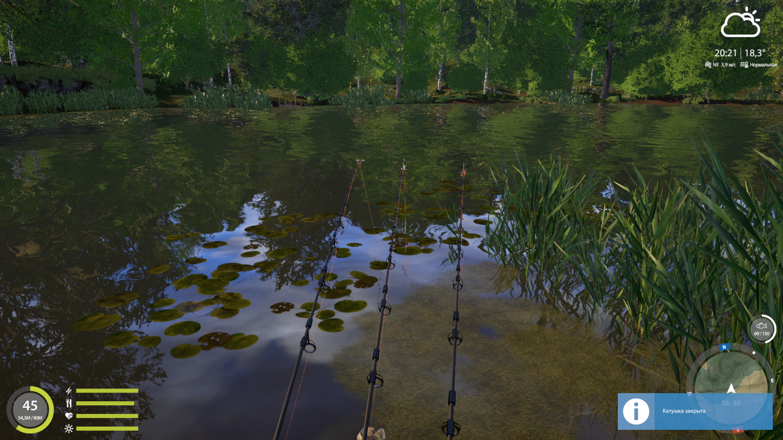 F1 | Russia and CIS countries | Bottom Fishing