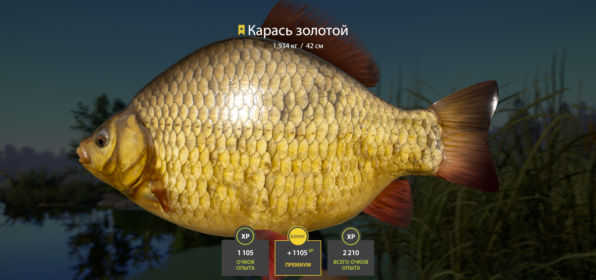 Crucian Carp | Russia and CIS countries | Bottom Fishing