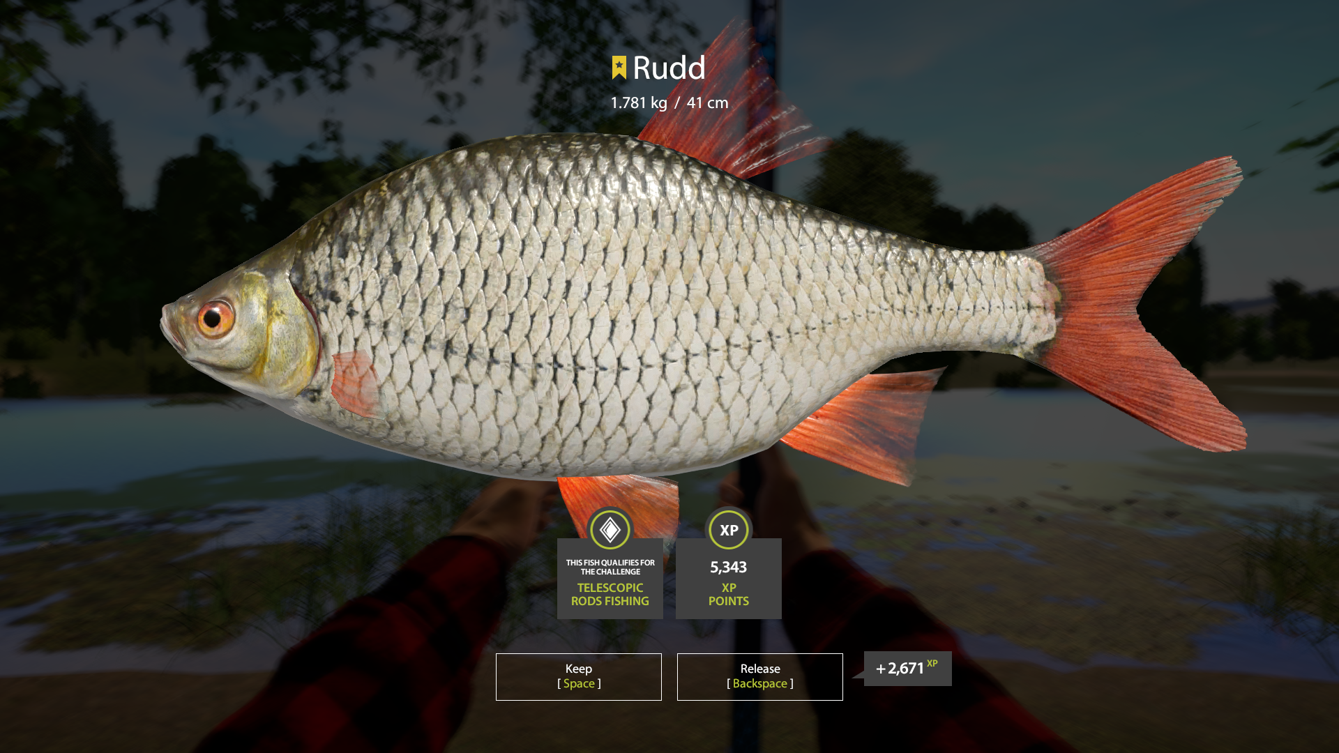 Rudd | Other Countries | Float Fishing