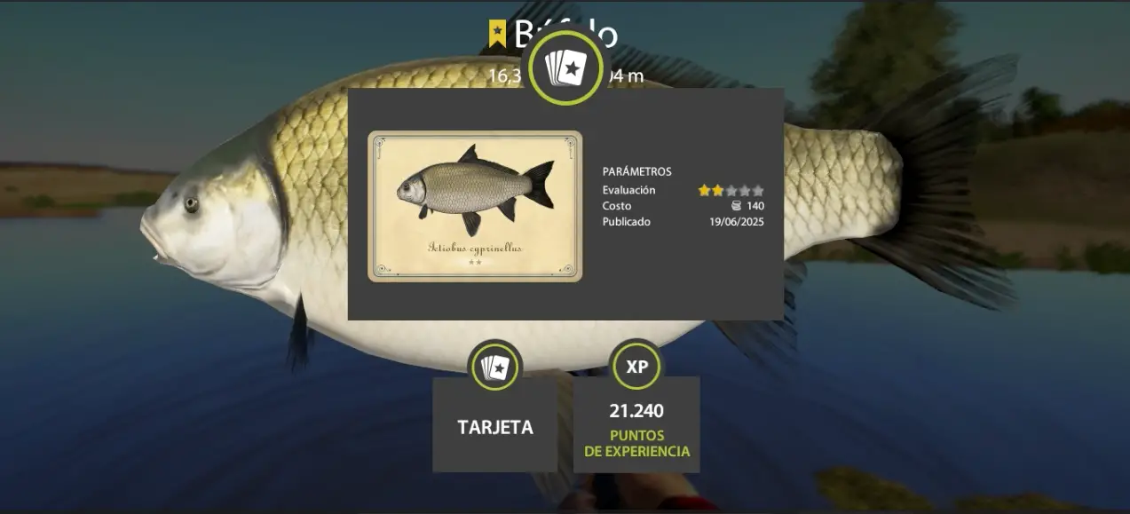 Buffalo | Other Countries | Bottom Fishing
