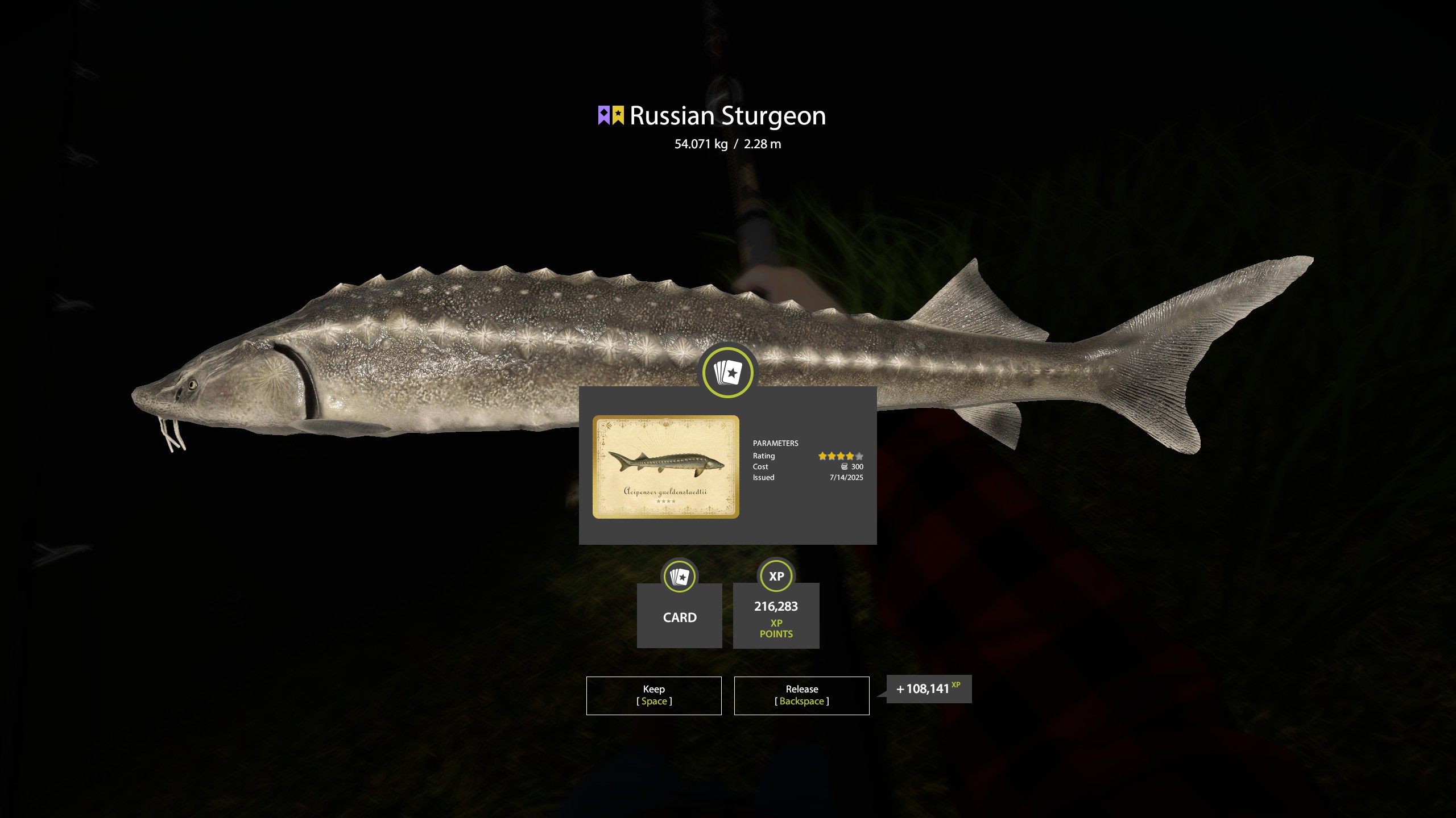 Russian Sturgeon | Other Countries | Bottom Fishing