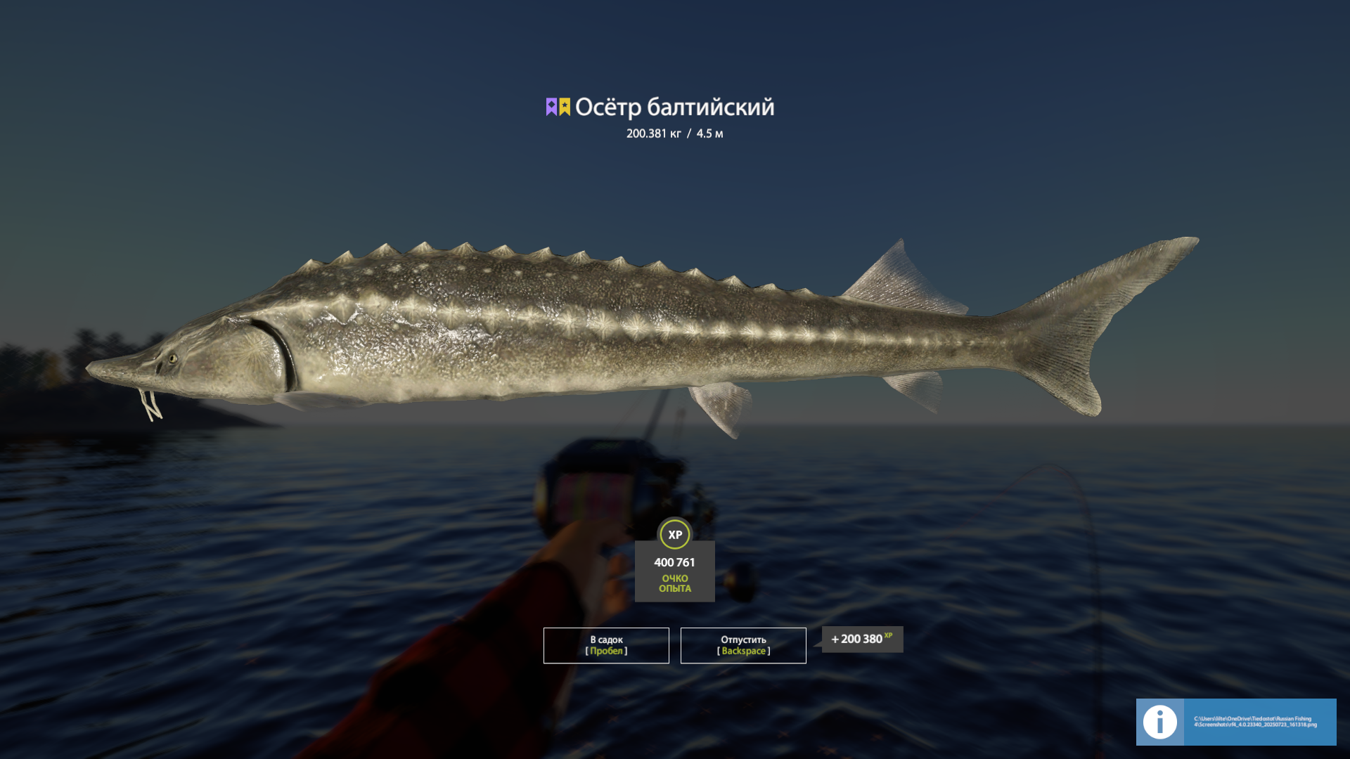 Baltic Sturgeon | Russia and CIS countries | Spinning