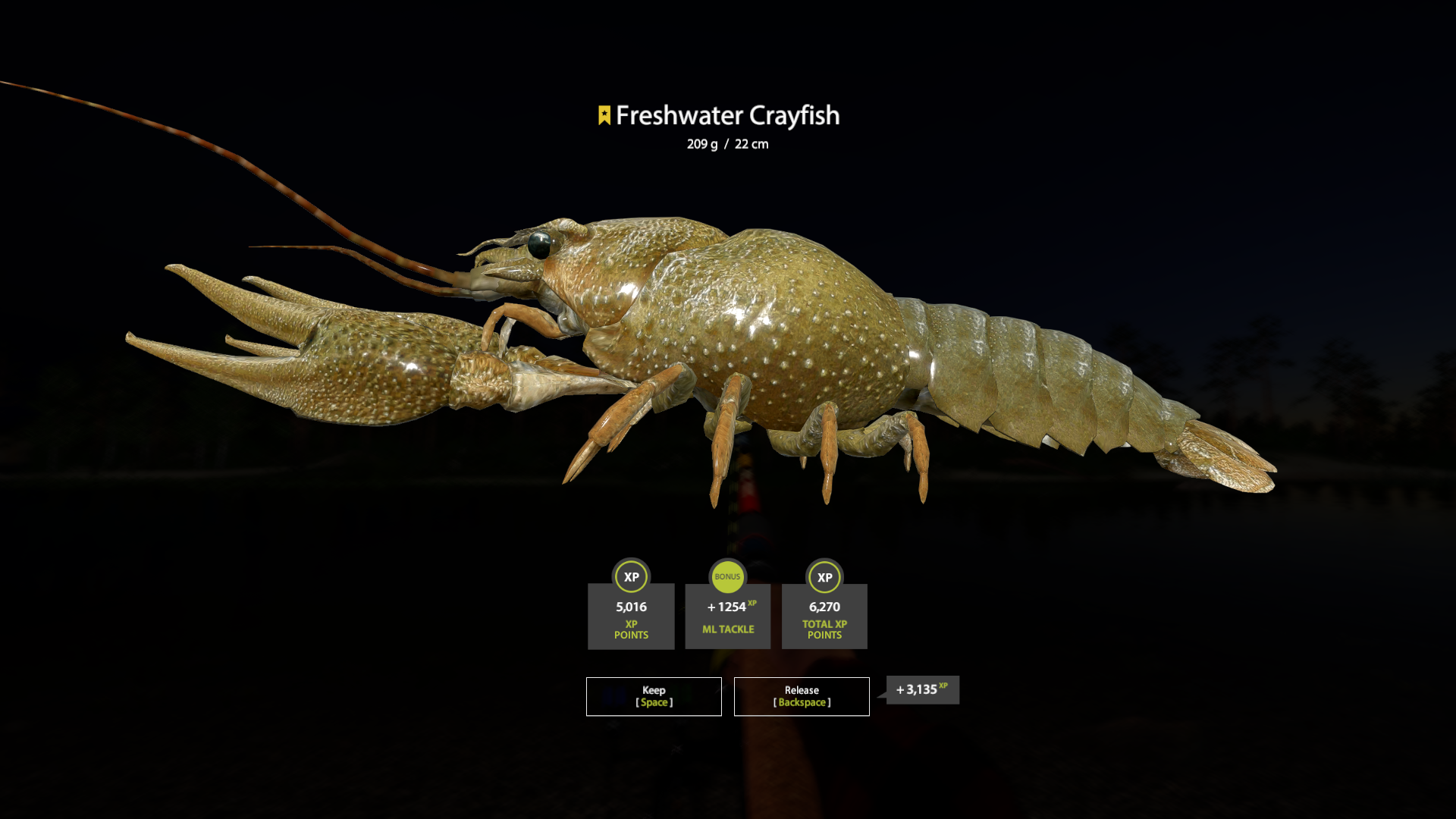 Freshwater Crayfish | Germany | Bottom Fishing