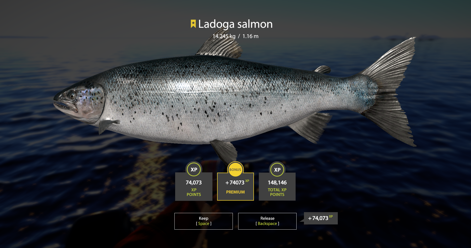 Ladoga salmon | USA | Spinning