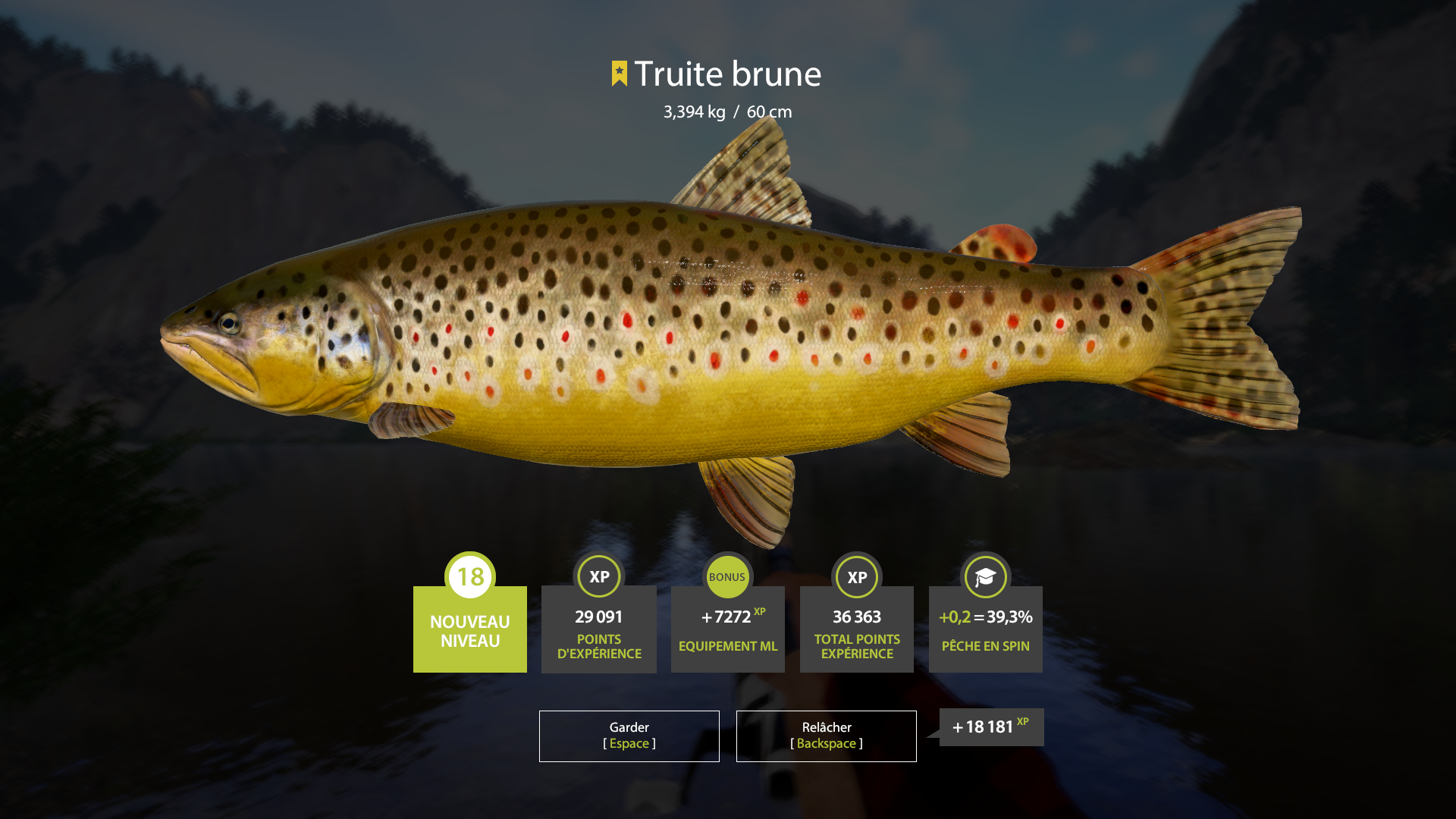 Brown Trout | International | Spinning