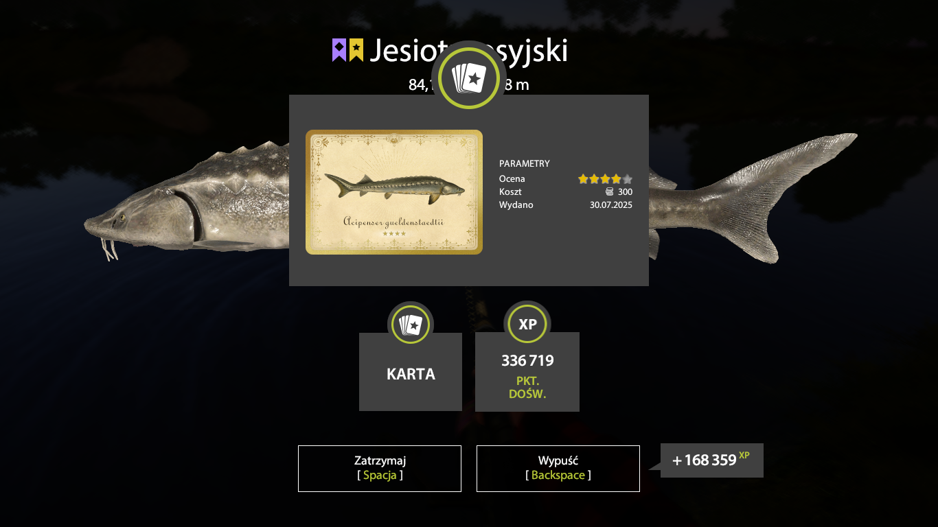 Russian Sturgeon | Poland | Bottom Fishing