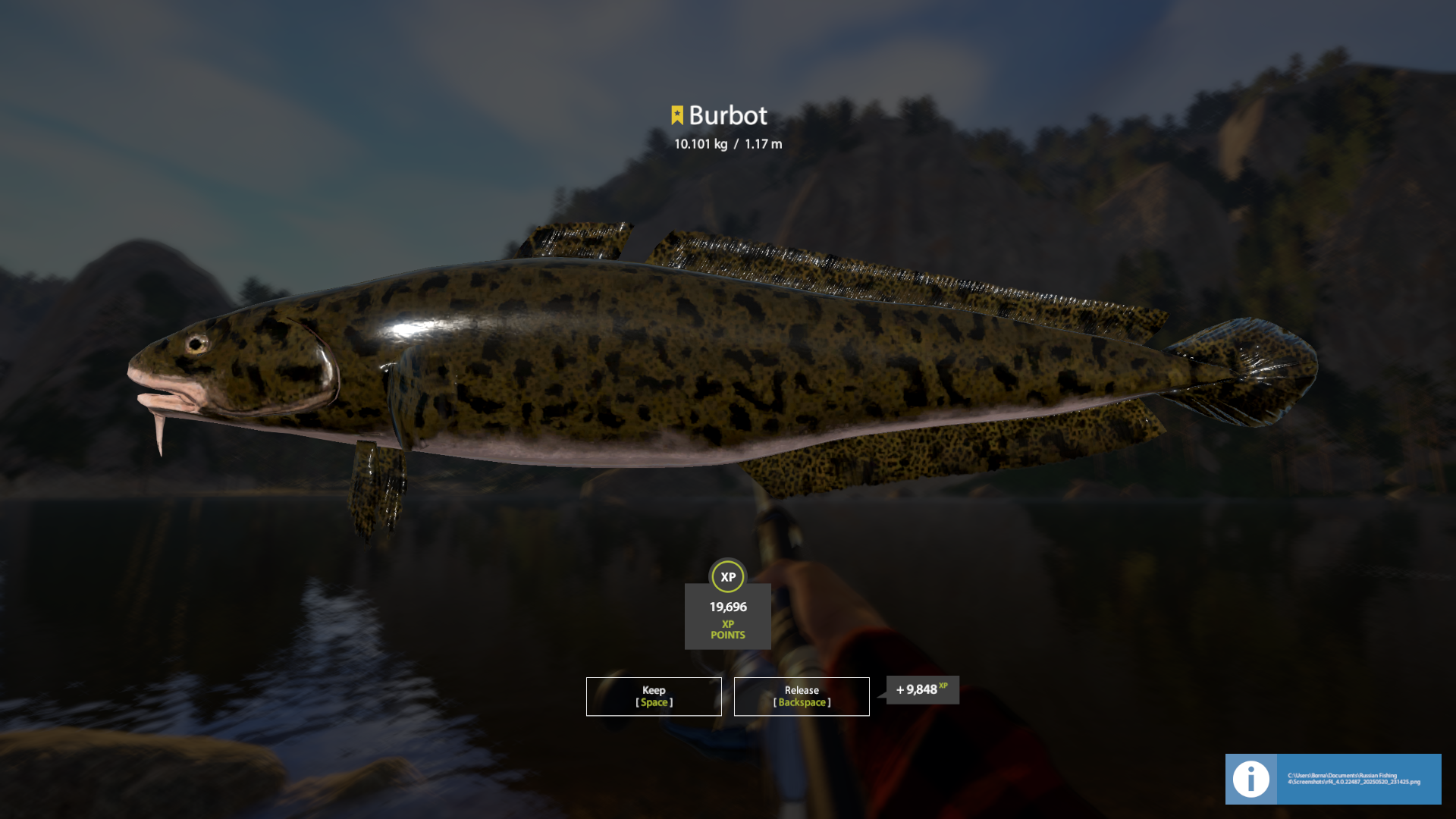 Burbot | Germany | Bottom Fishing