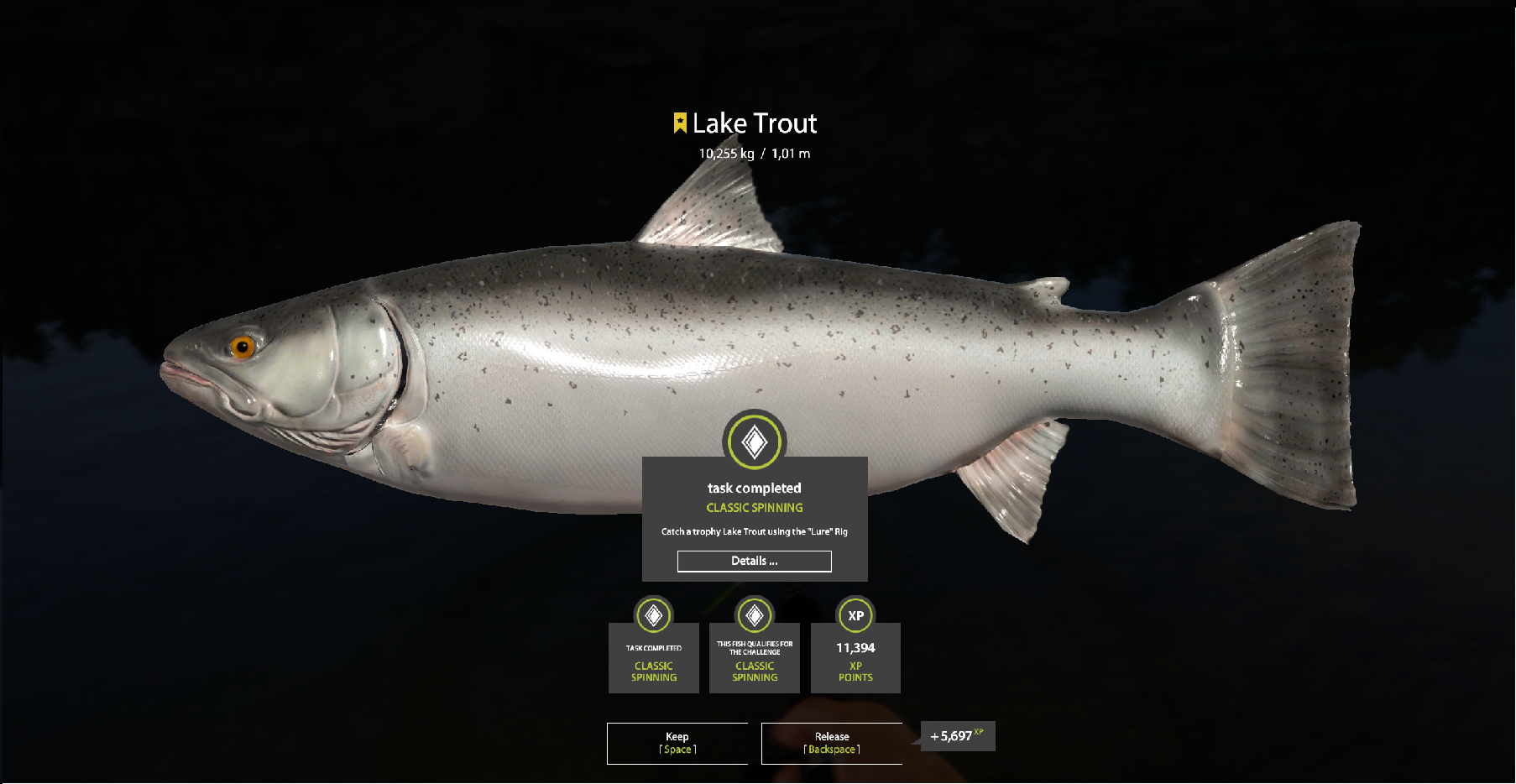 Lake Trout | International | Spinning