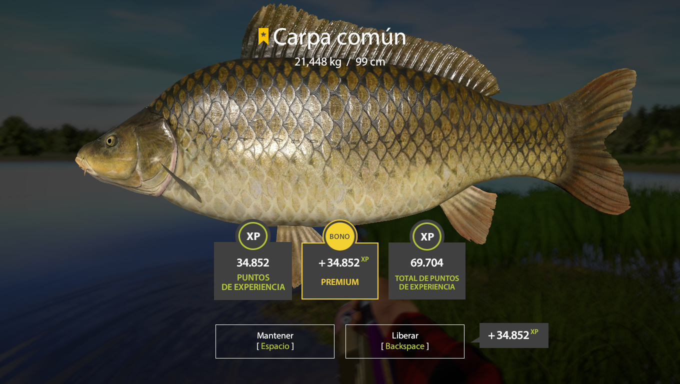 Trophy The Amber Lake