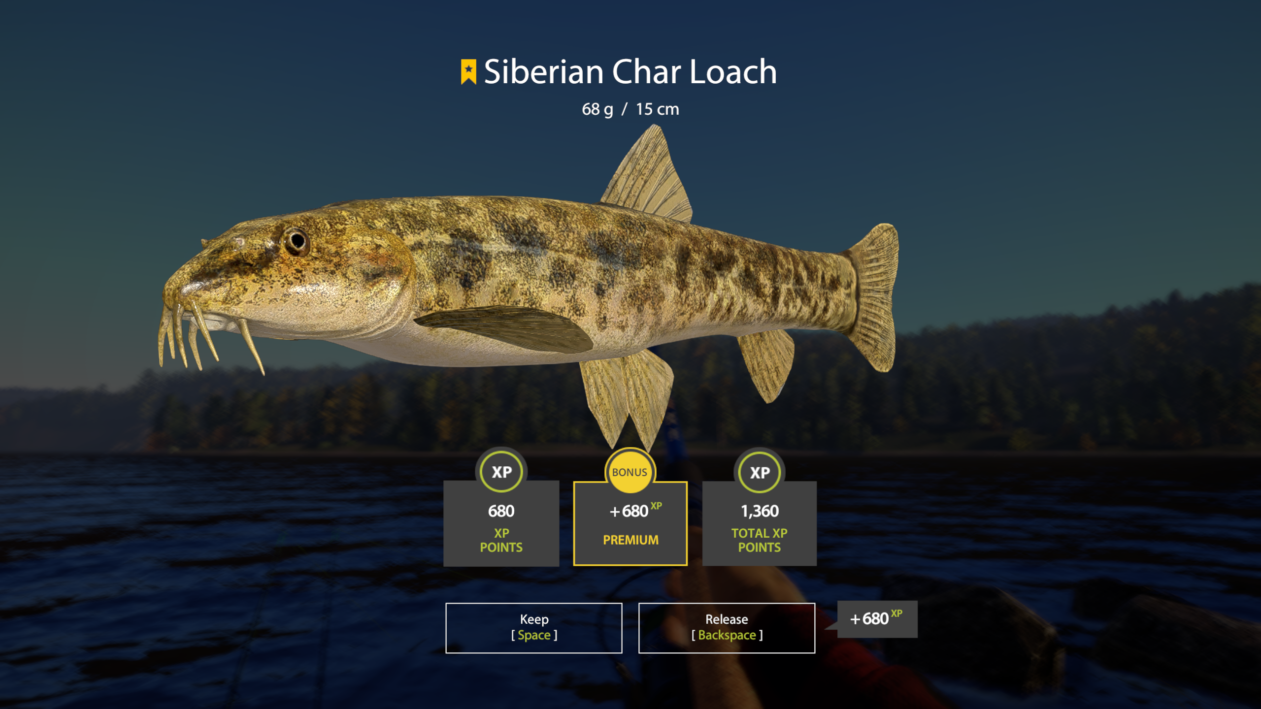 Siberian Char Loach | USA | Bottom Fishing