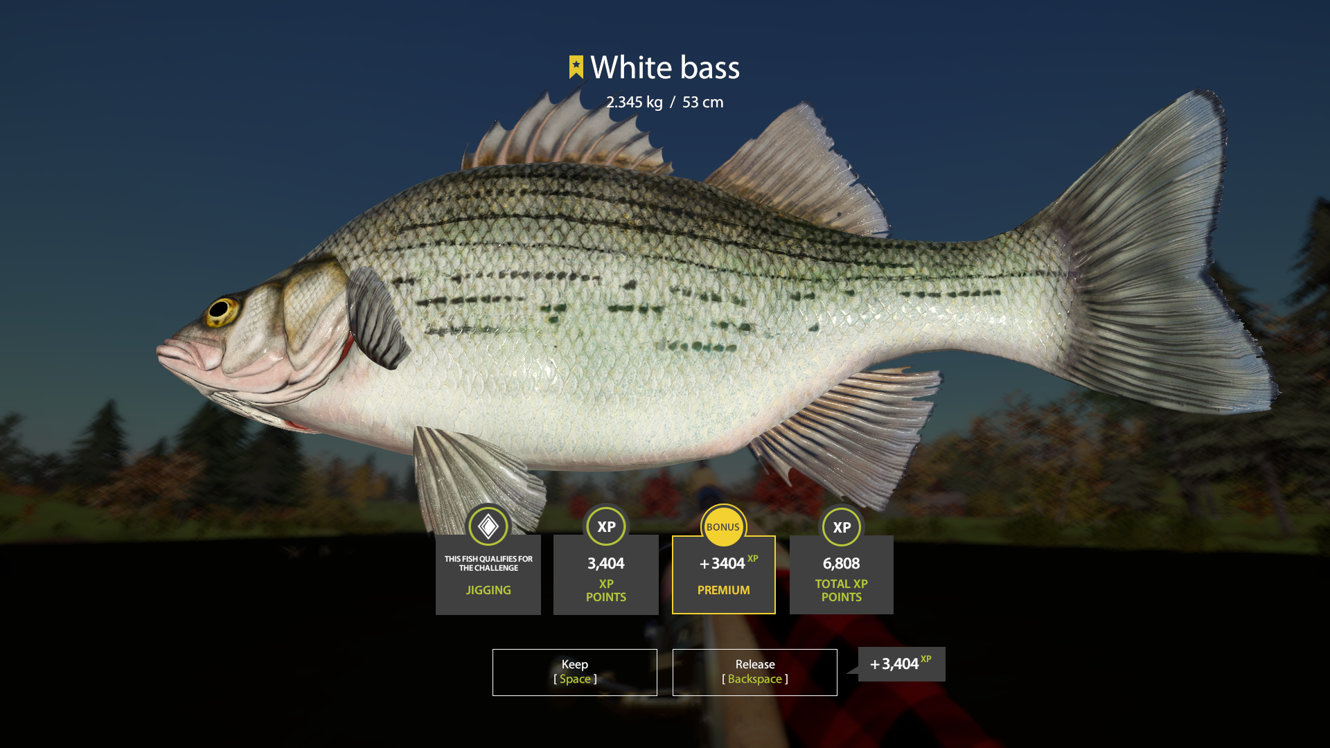 White bass | Other Countries | Spinning