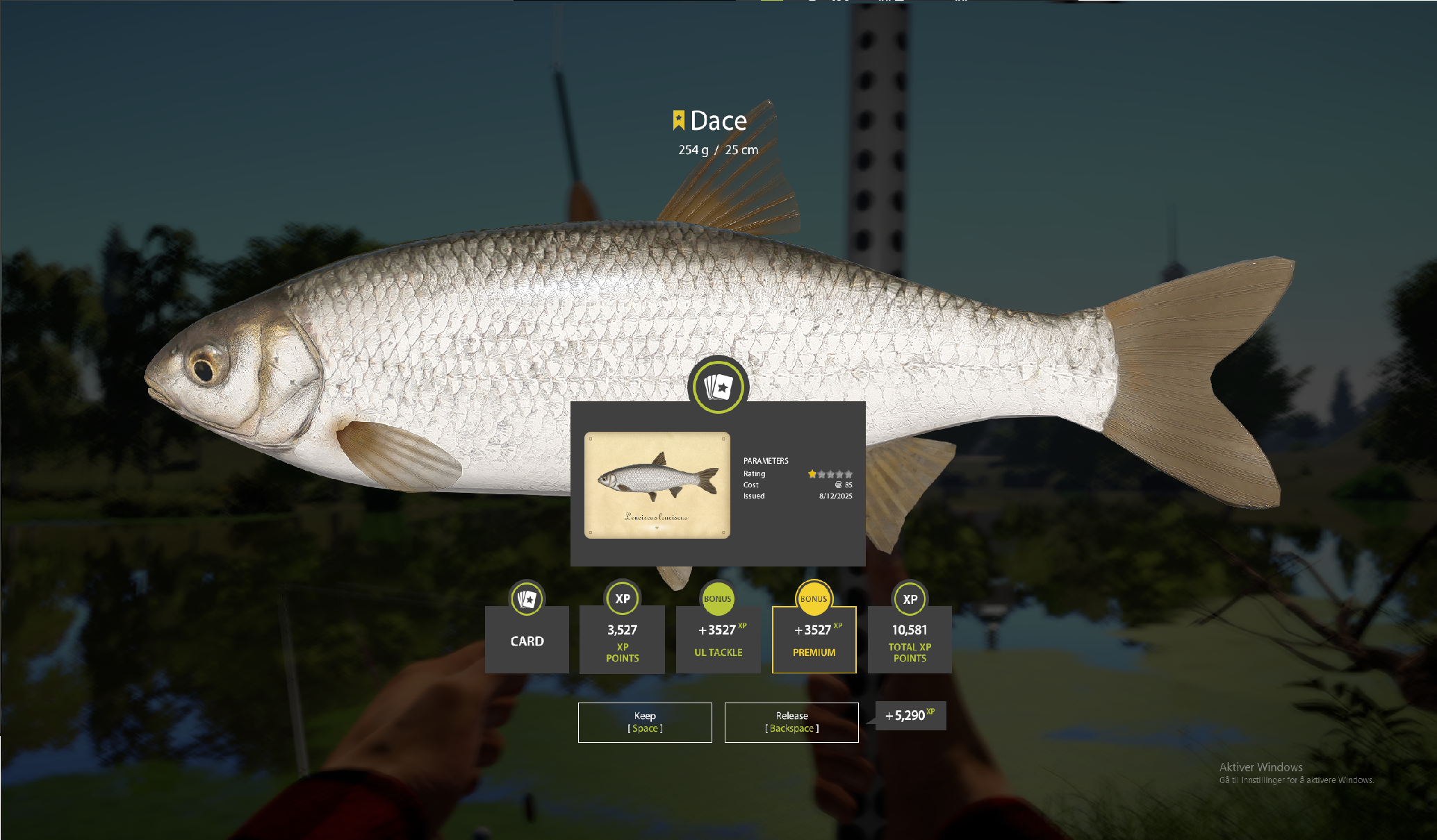 Dace | International | Float Fishing