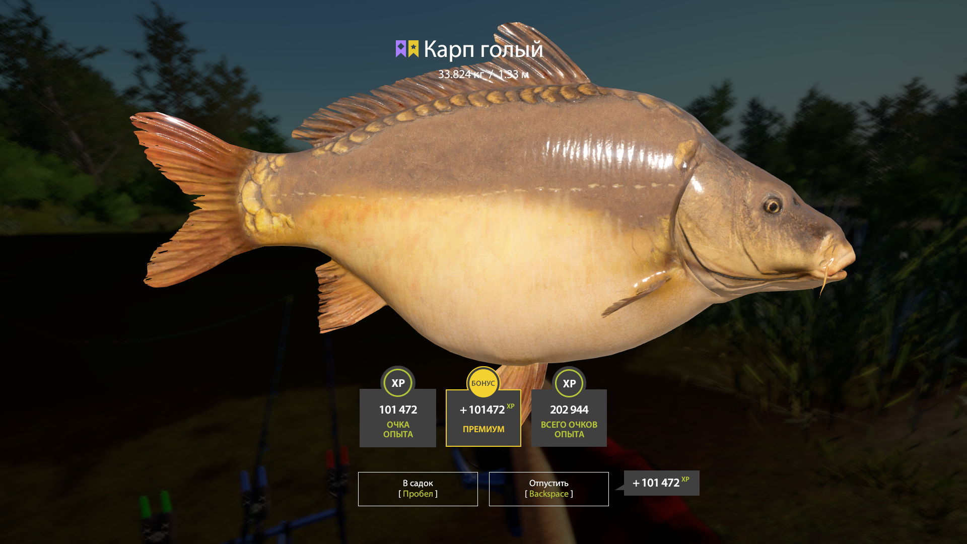 Leather Carp | Russia and CIS countries | Bottom Fishing