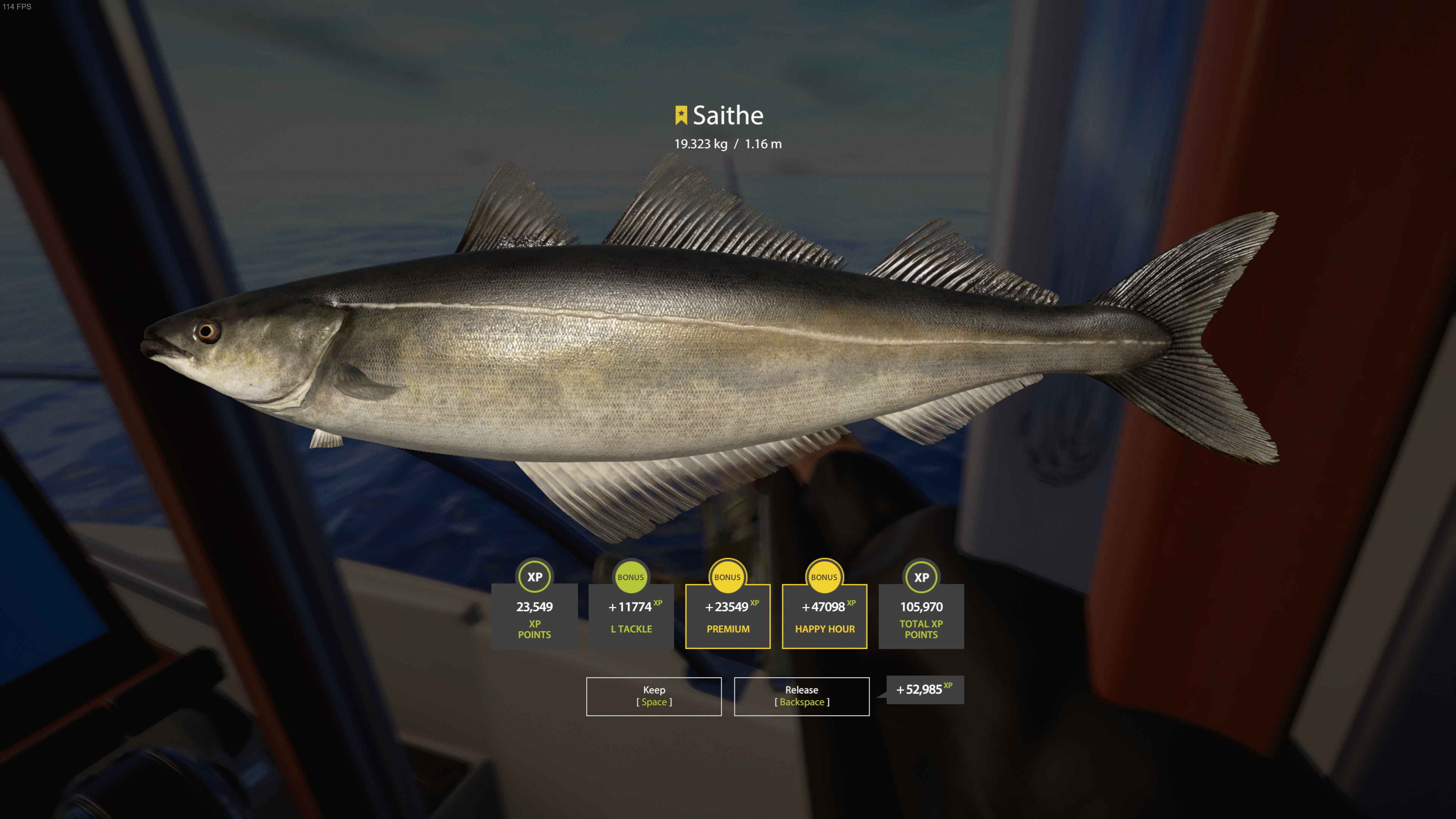 Saithe | Other Countries | Marine Fishing