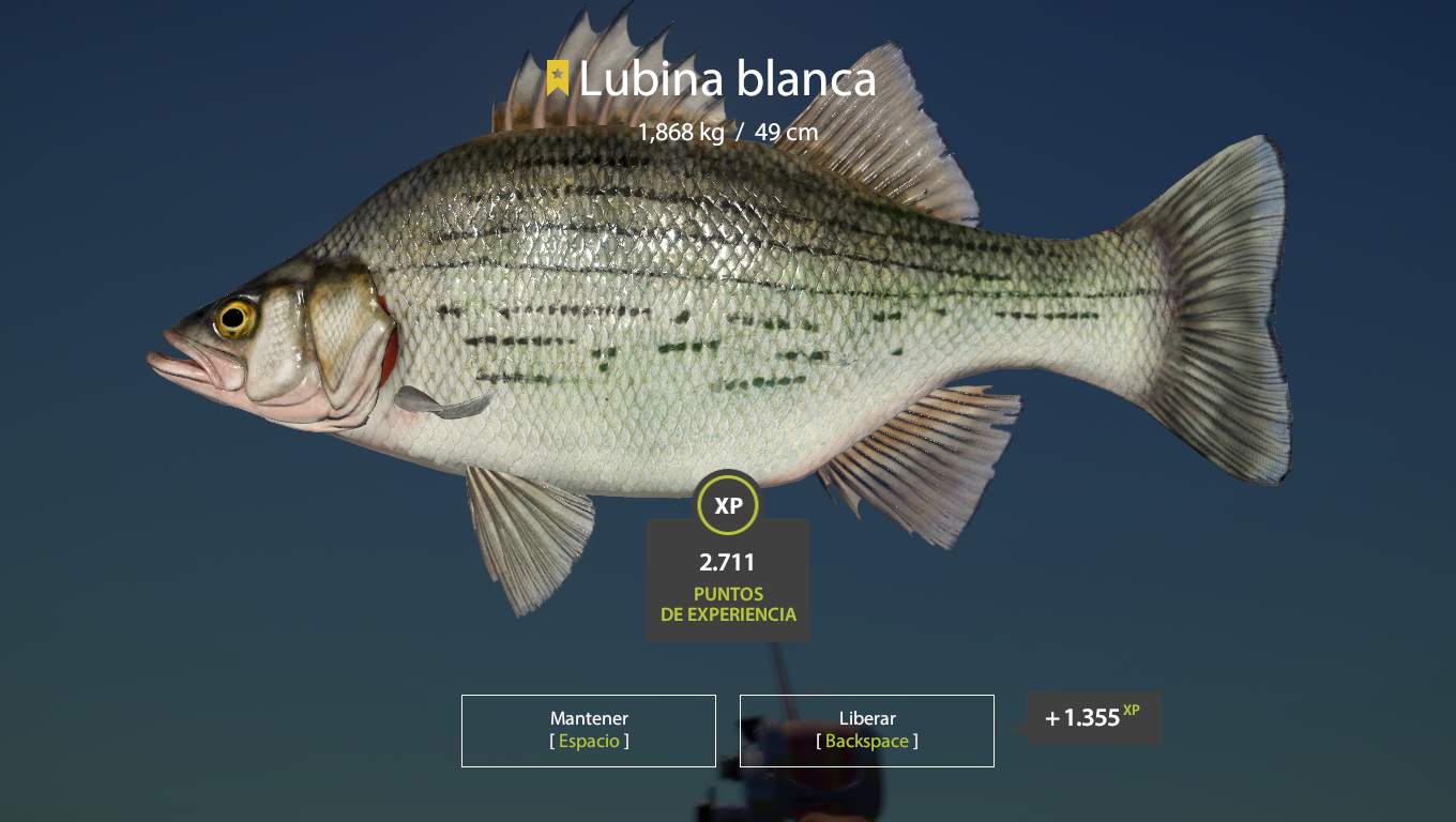 White bass | Other Countries | Spinning