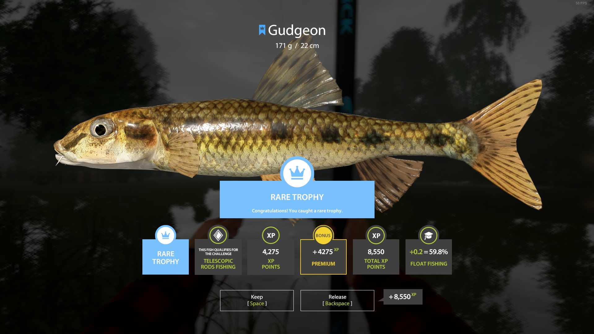 Gudgeon | USA | Float Fishing