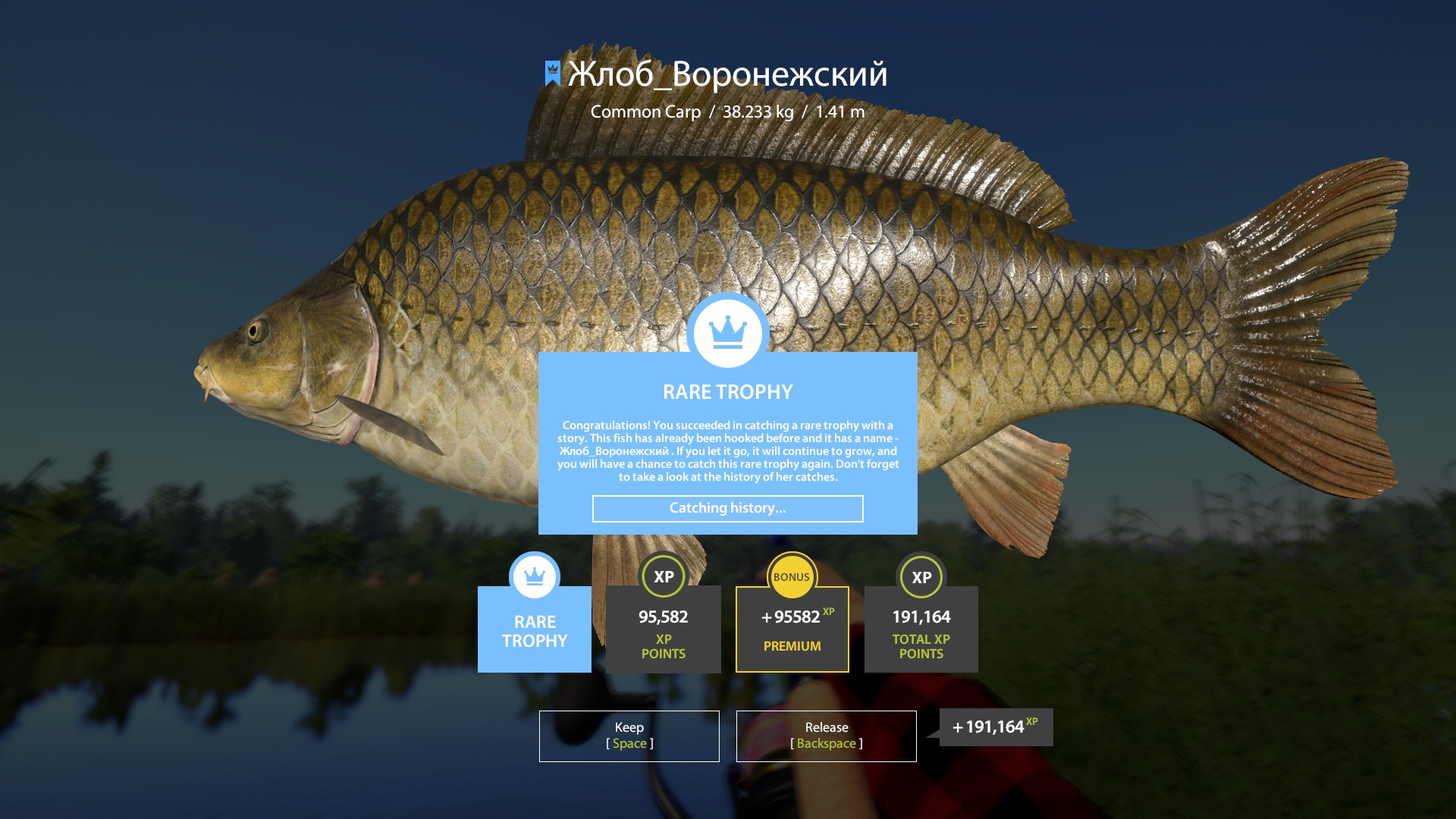 Common Carp | Germany | Bottom Fishing
