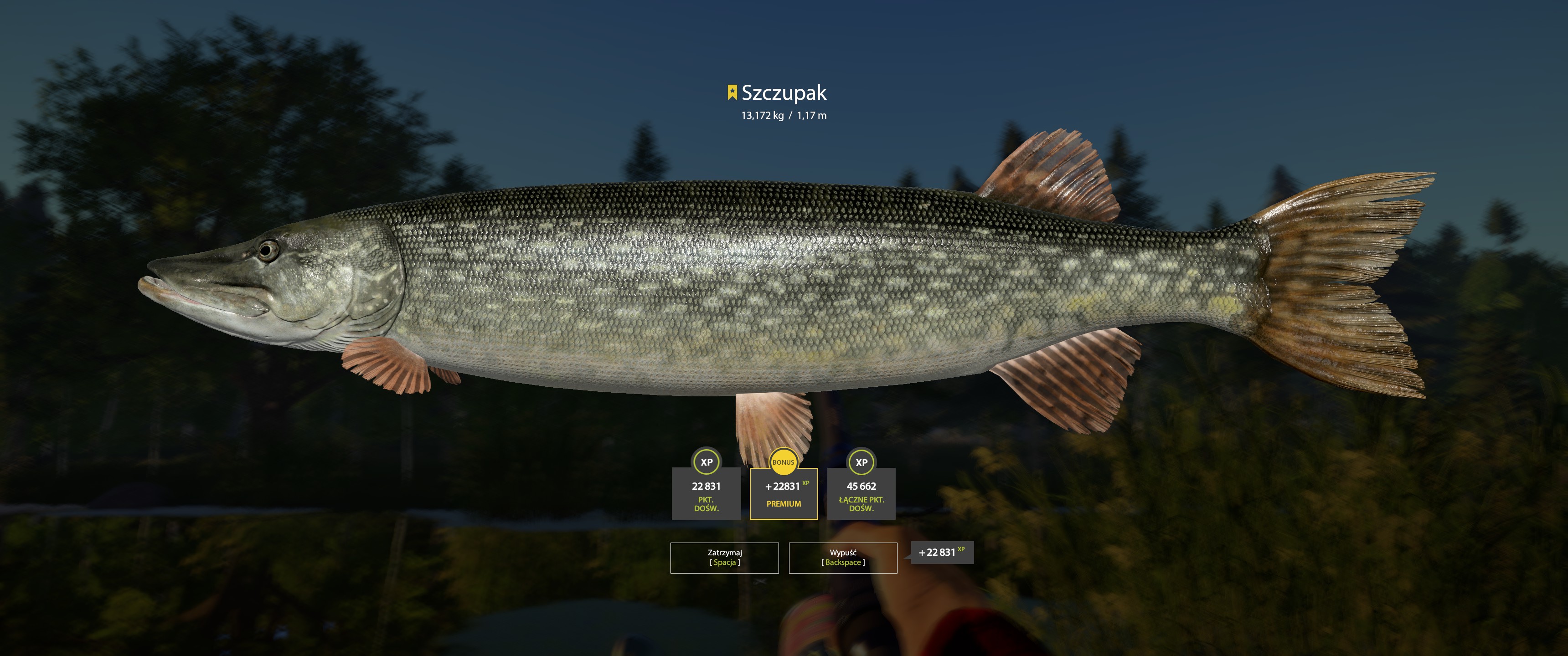 Pike | Poland | Bottom Fishing