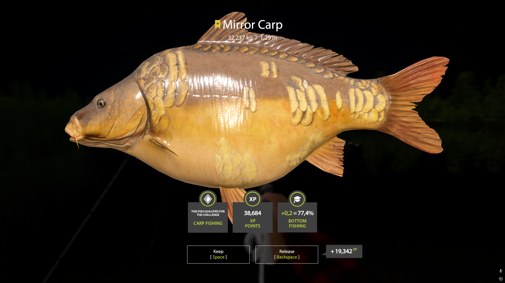 Trophy Bear Lake