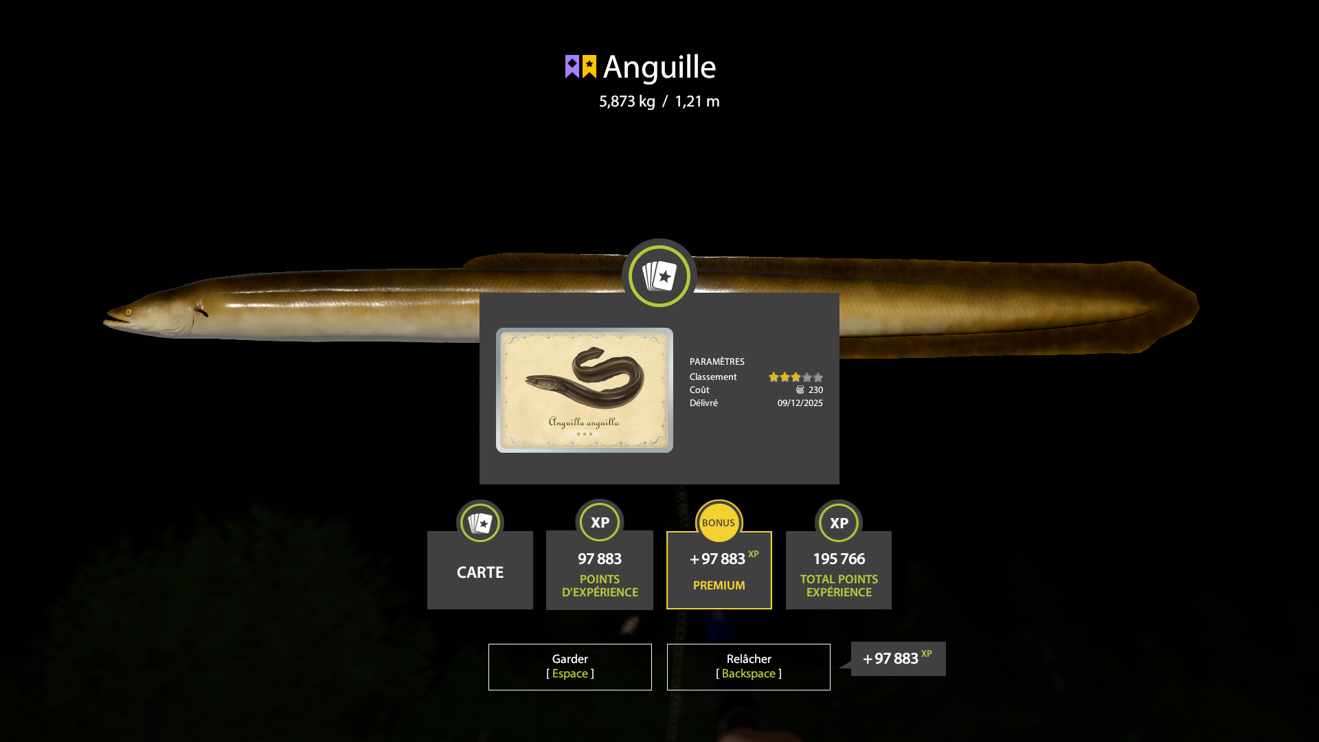 Eel | France | Bottom Fishing