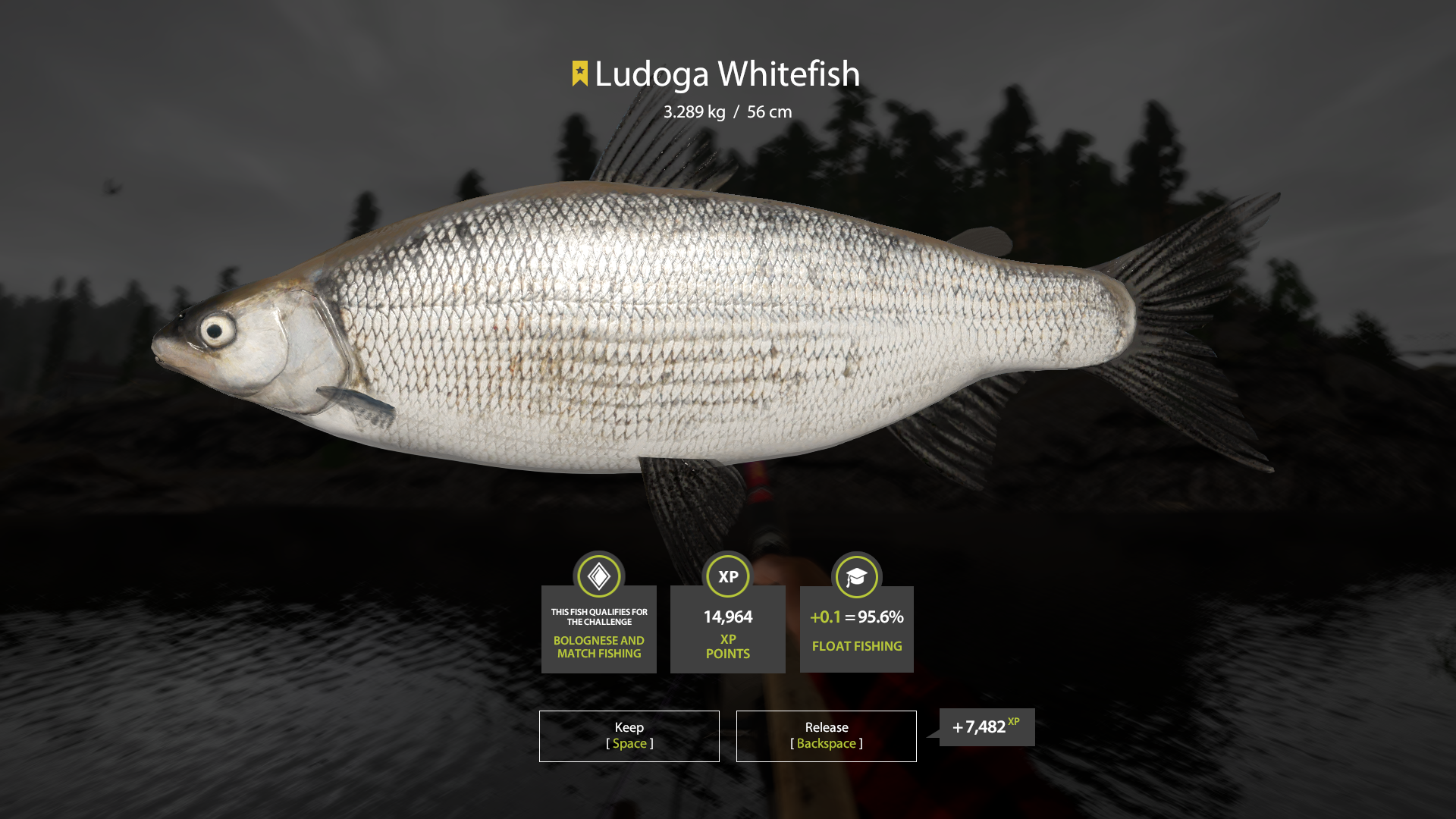 Trophy Ladoga Lake