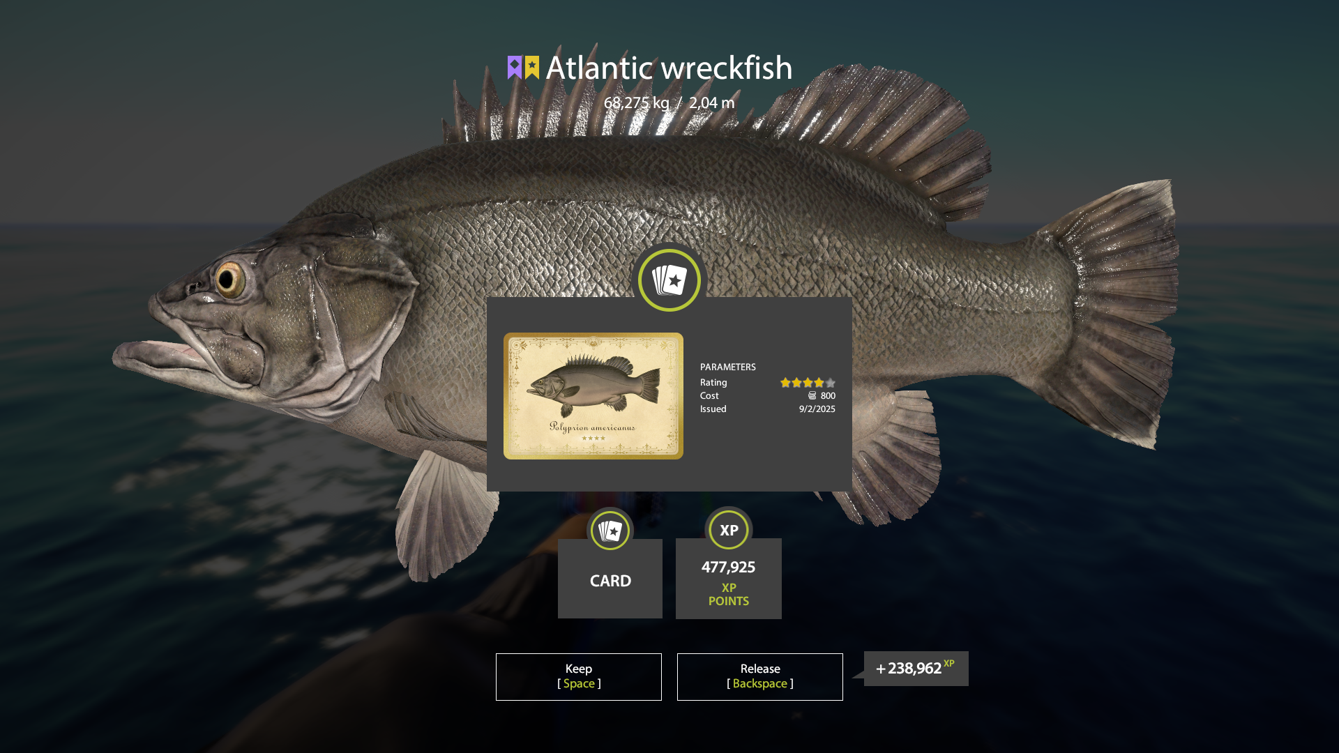Trophy Norwegian Sea