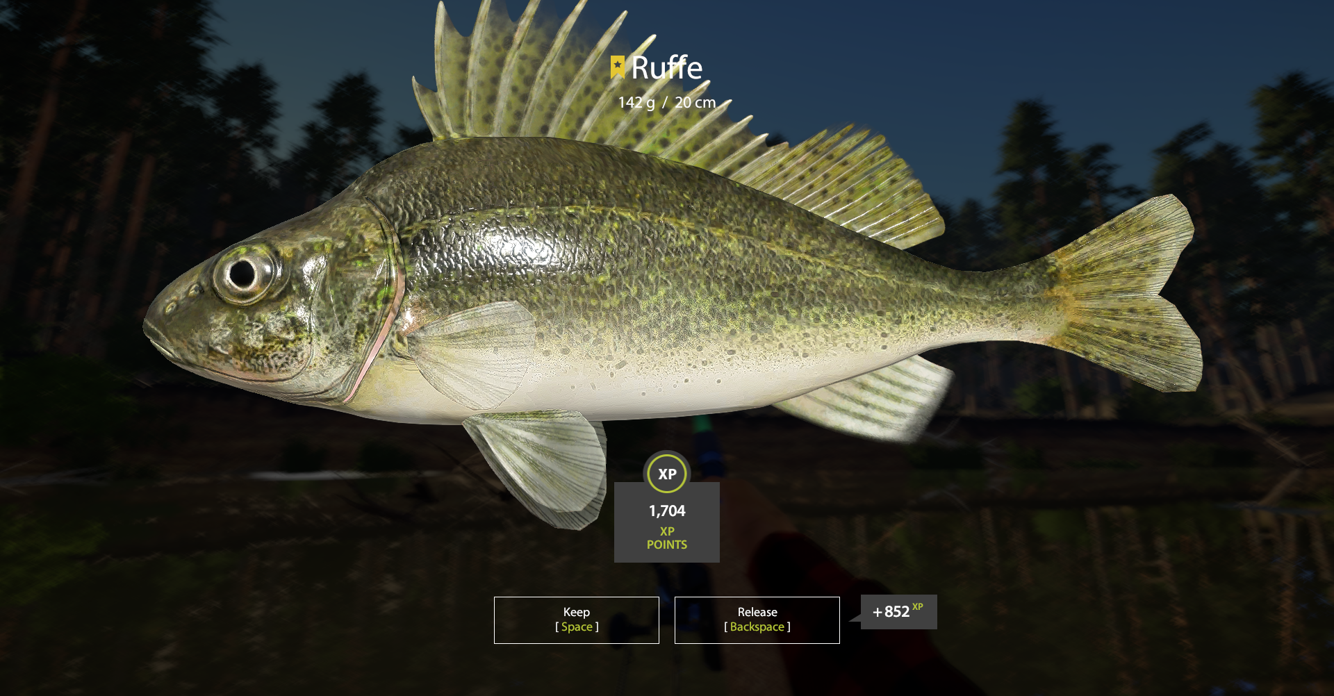Trophy Winding Rivulet