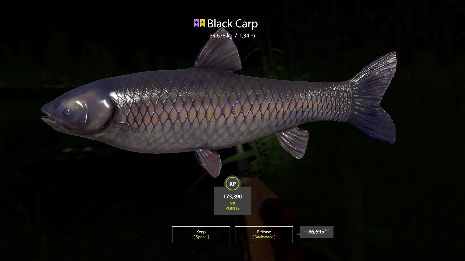 Trophy Bear Lake