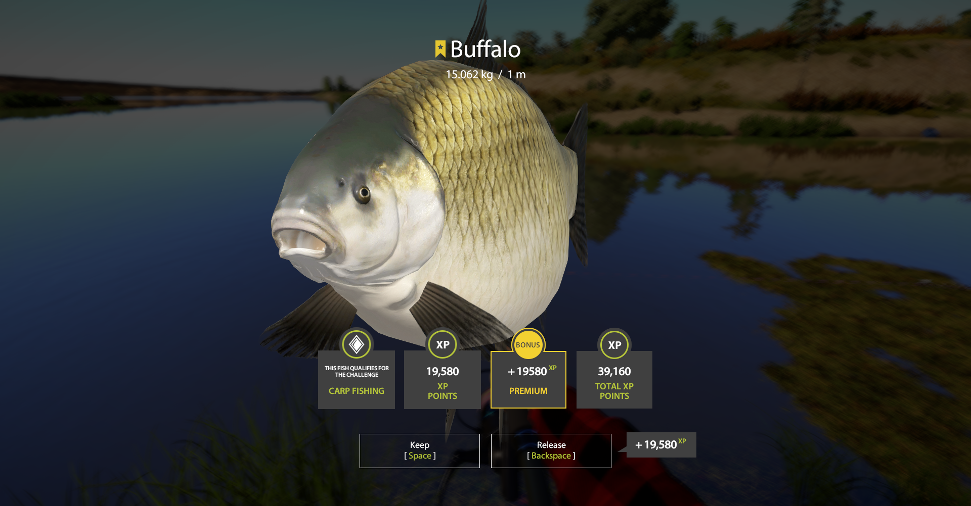 Buffalo | Other Countries | Bottom Fishing