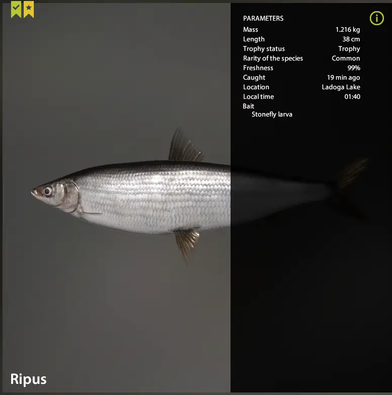 Ripus | Other Countries | Float Fishing