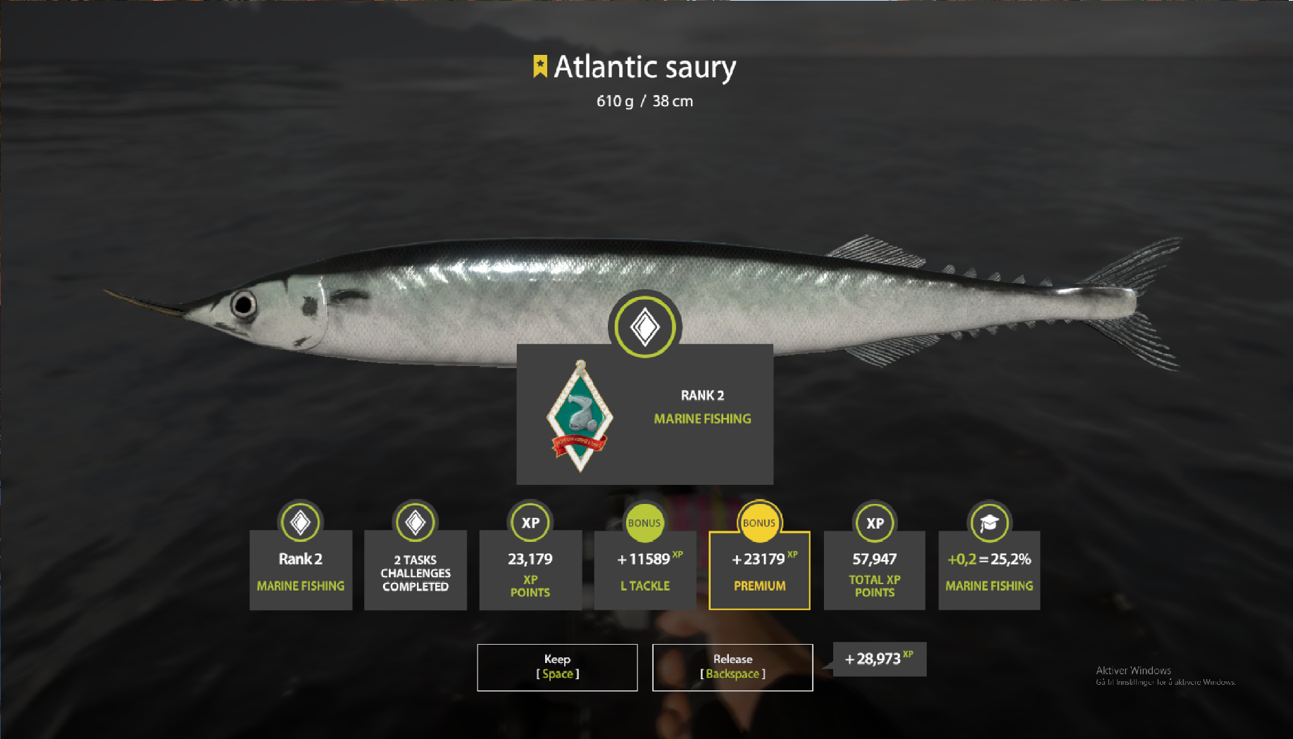Atlantic saury | International | Marine Fishing
