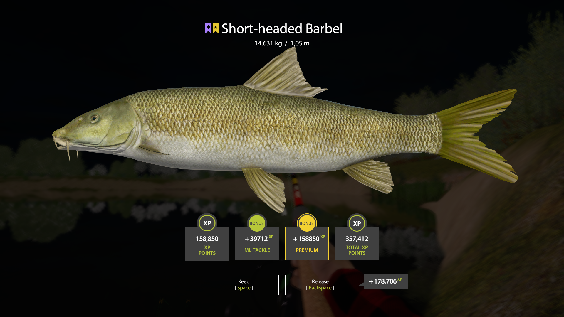 Short-headed Barbel | Other Countries | Bottom Fishing