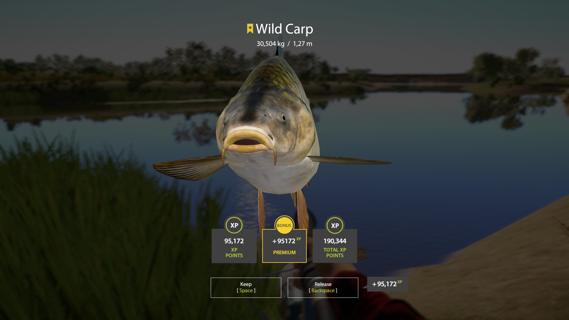 Wild Carp | Other Countries | Bottom Fishing