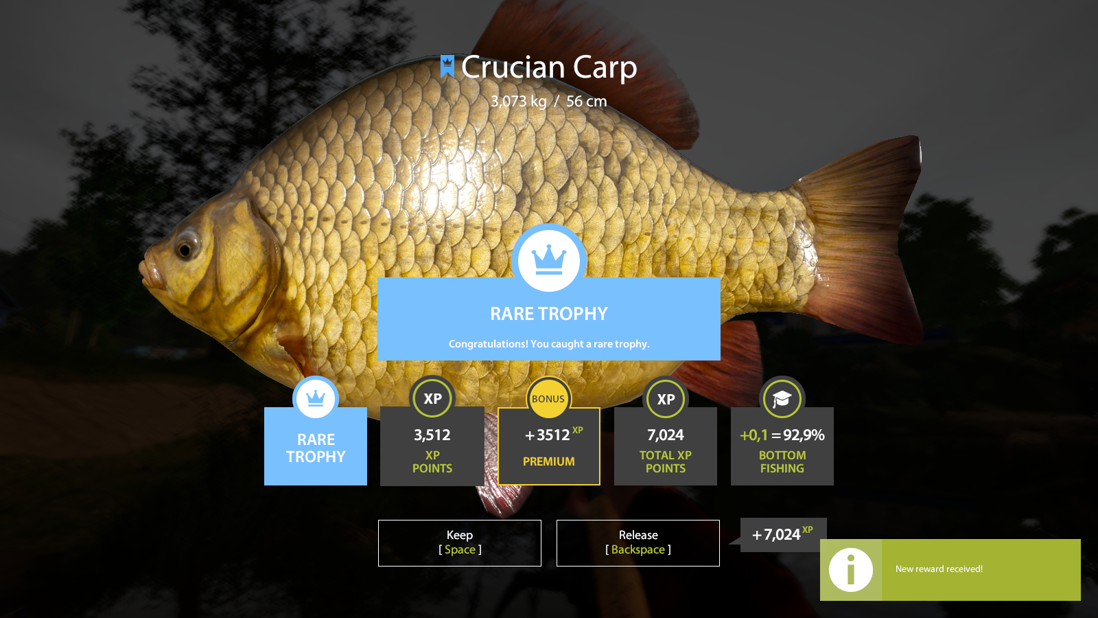 Crucian Carp | France | Bottom Fishing