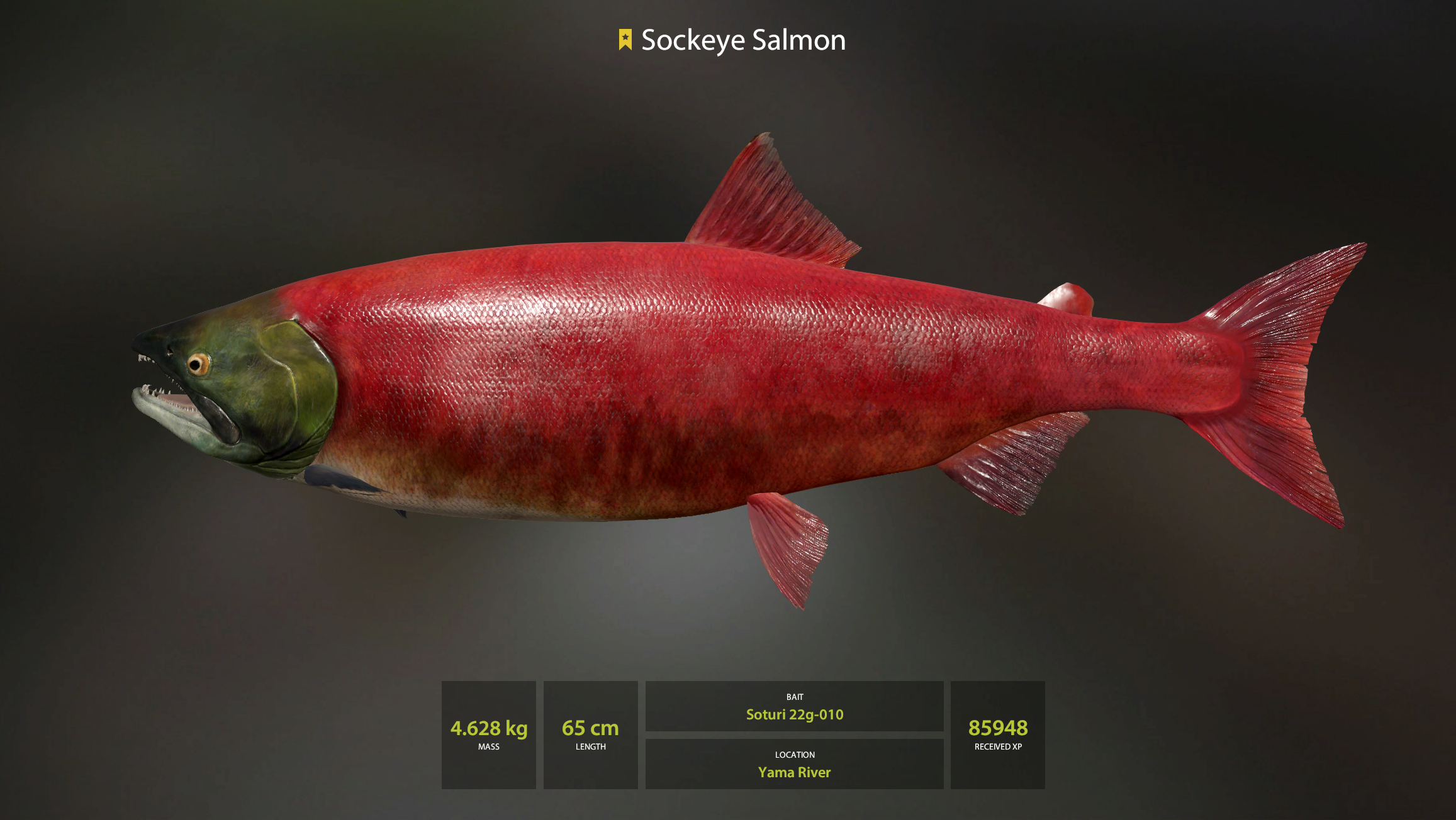 Sockeye Salmon | Other Countries | Spinning