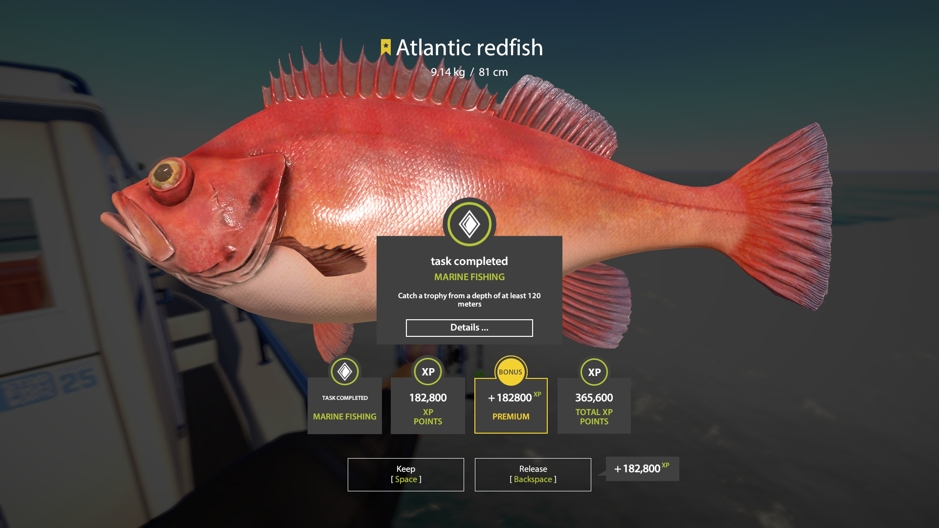 Atlantic redfish | Other Countries | Marine Fishing