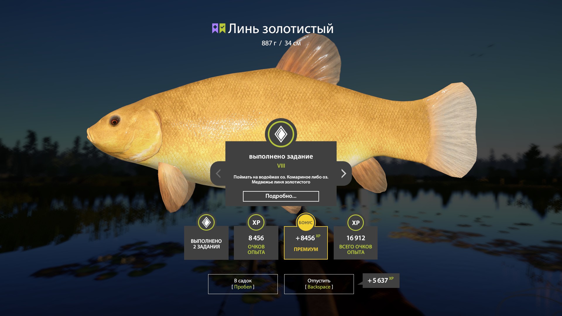 Golden Tench | Russia and CIS countries | Bottom Fishing