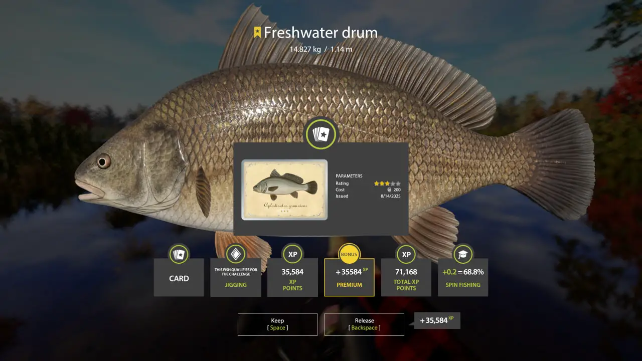 Freshwater drum | International | Spinning
