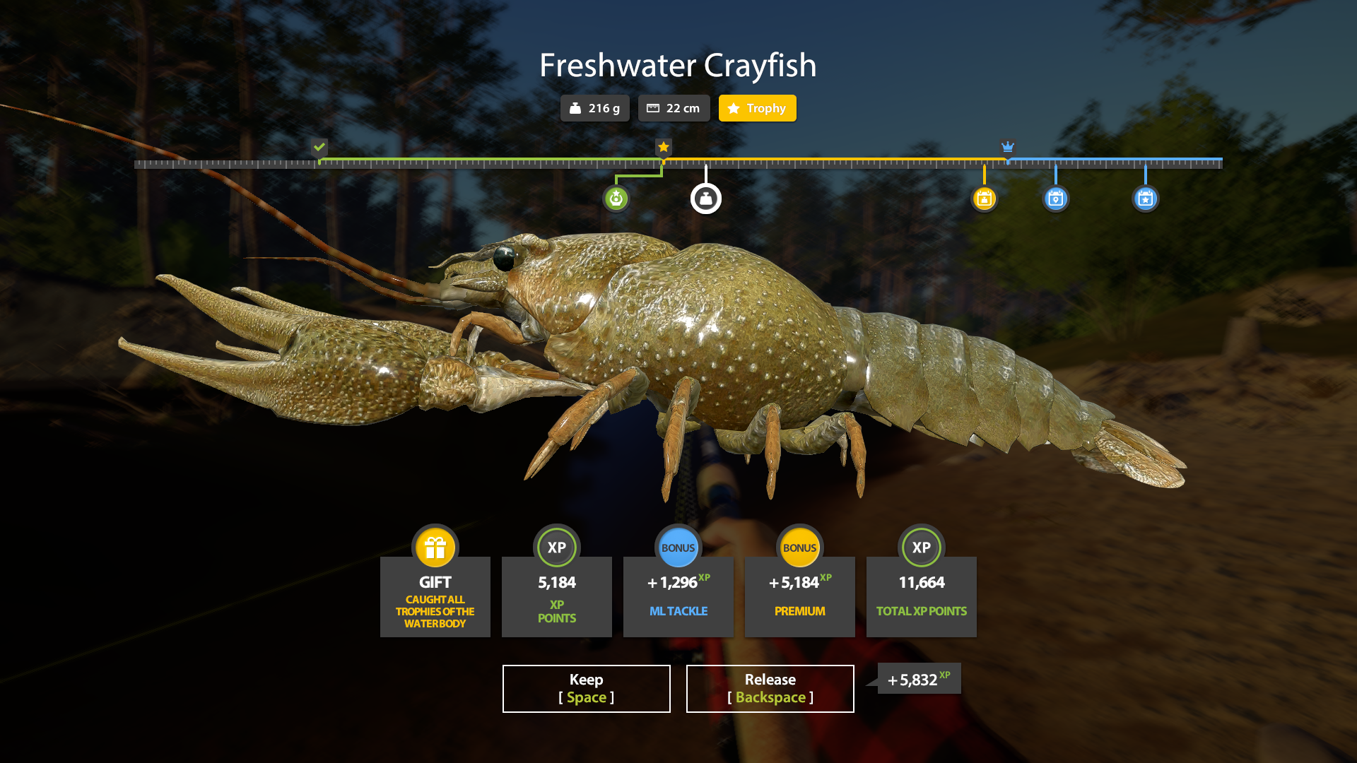Freshwater Crayfish | Other Countries | Bottom Fishing